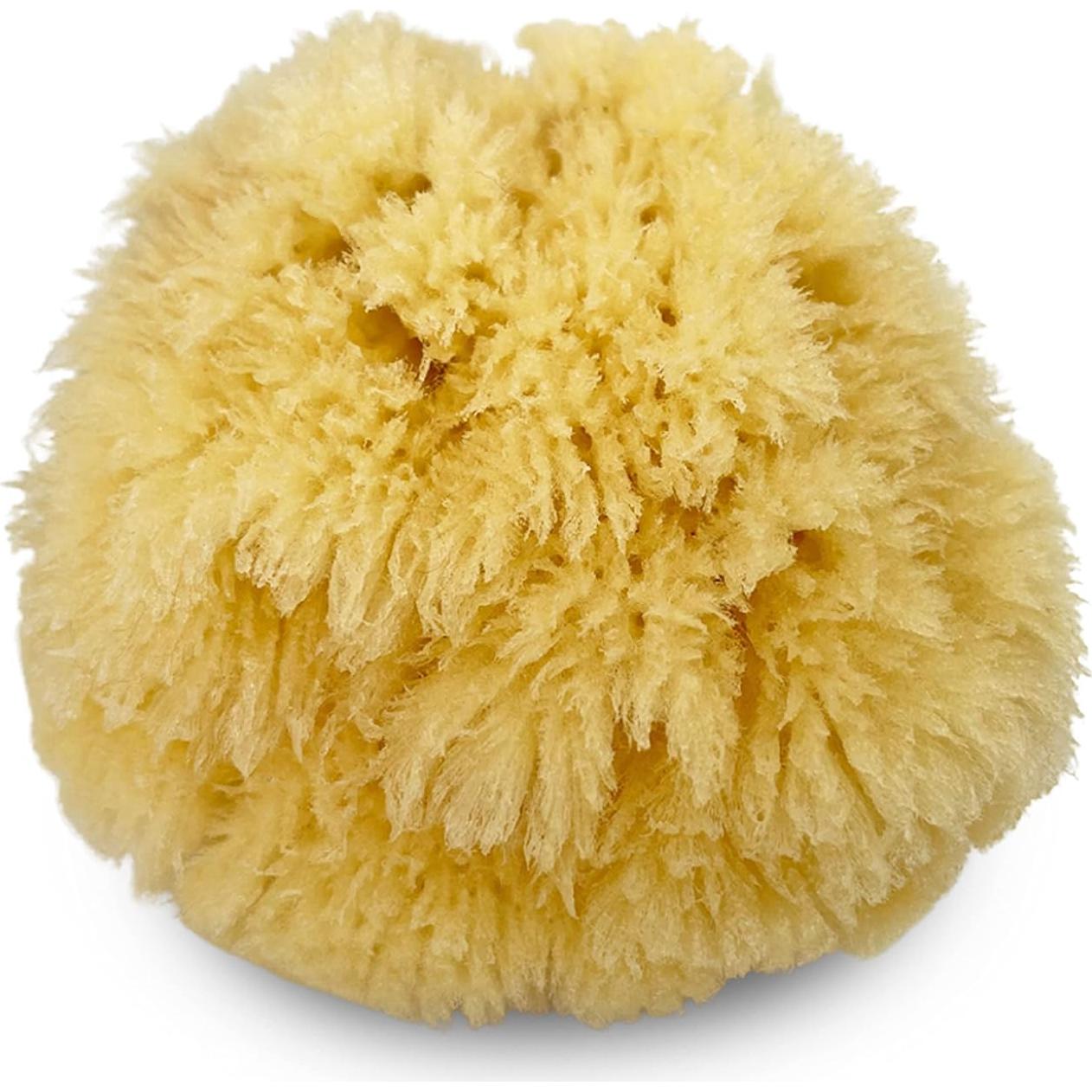 Esponjas Marinas Naturales Constantia Beauty - Set de 5 Piezas