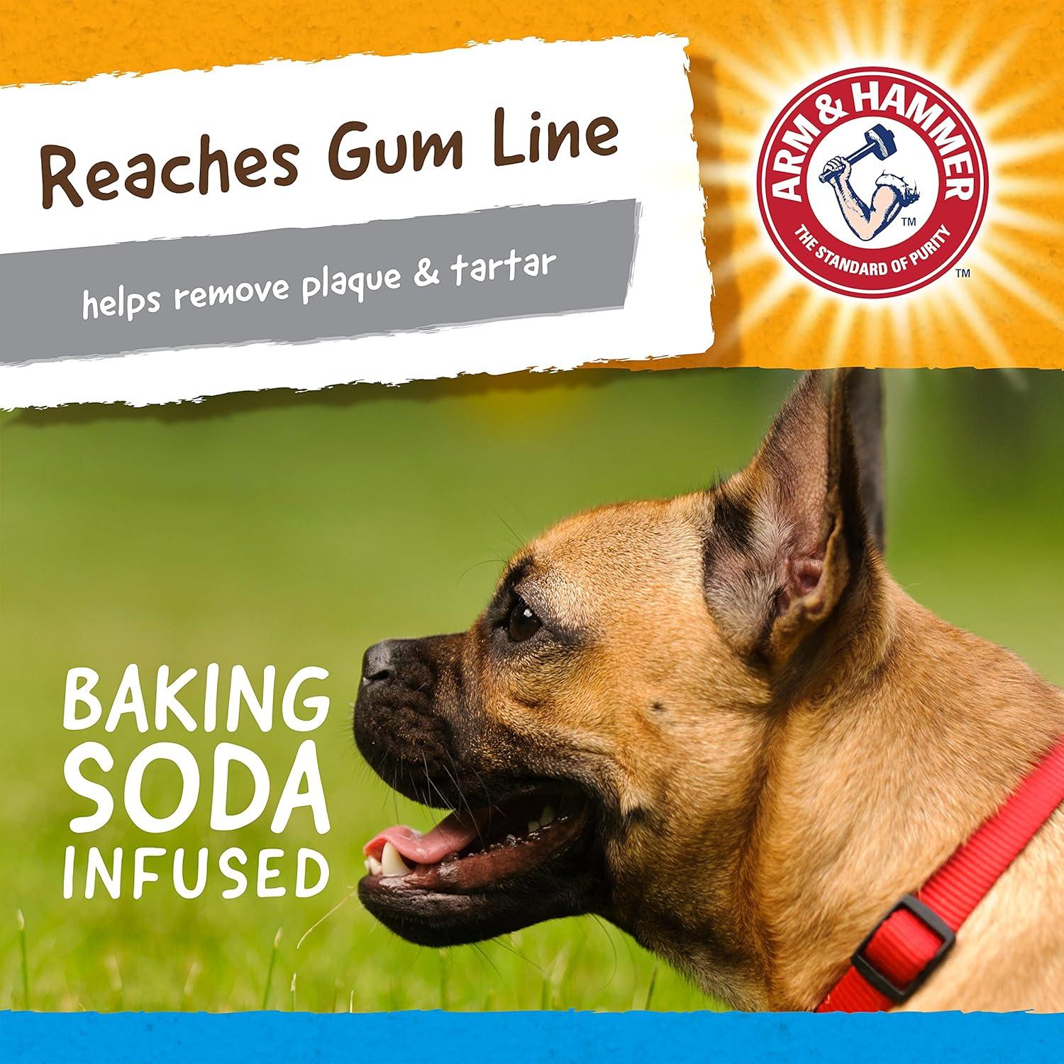 Juguete Dental para Perros Arm & Hammer Gator 1 Cuenta