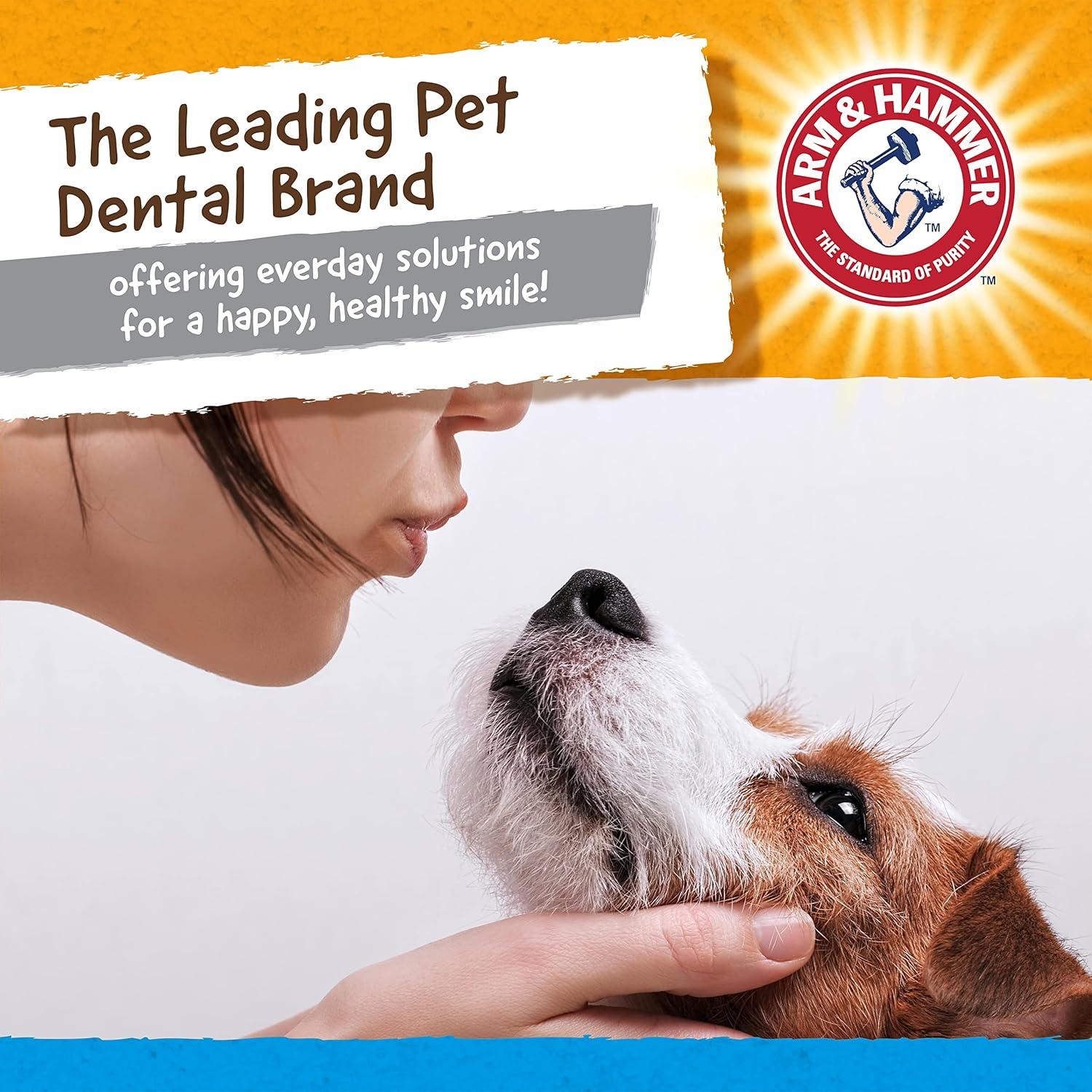 Juguete Dental para Perros Arm & Hammer Gator 1 Cuenta