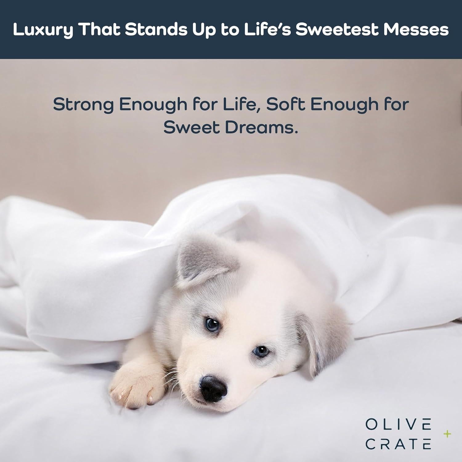 Juego de Sábanas Queen Olive + Crate Eucalipto Tencel Rosa Pálido