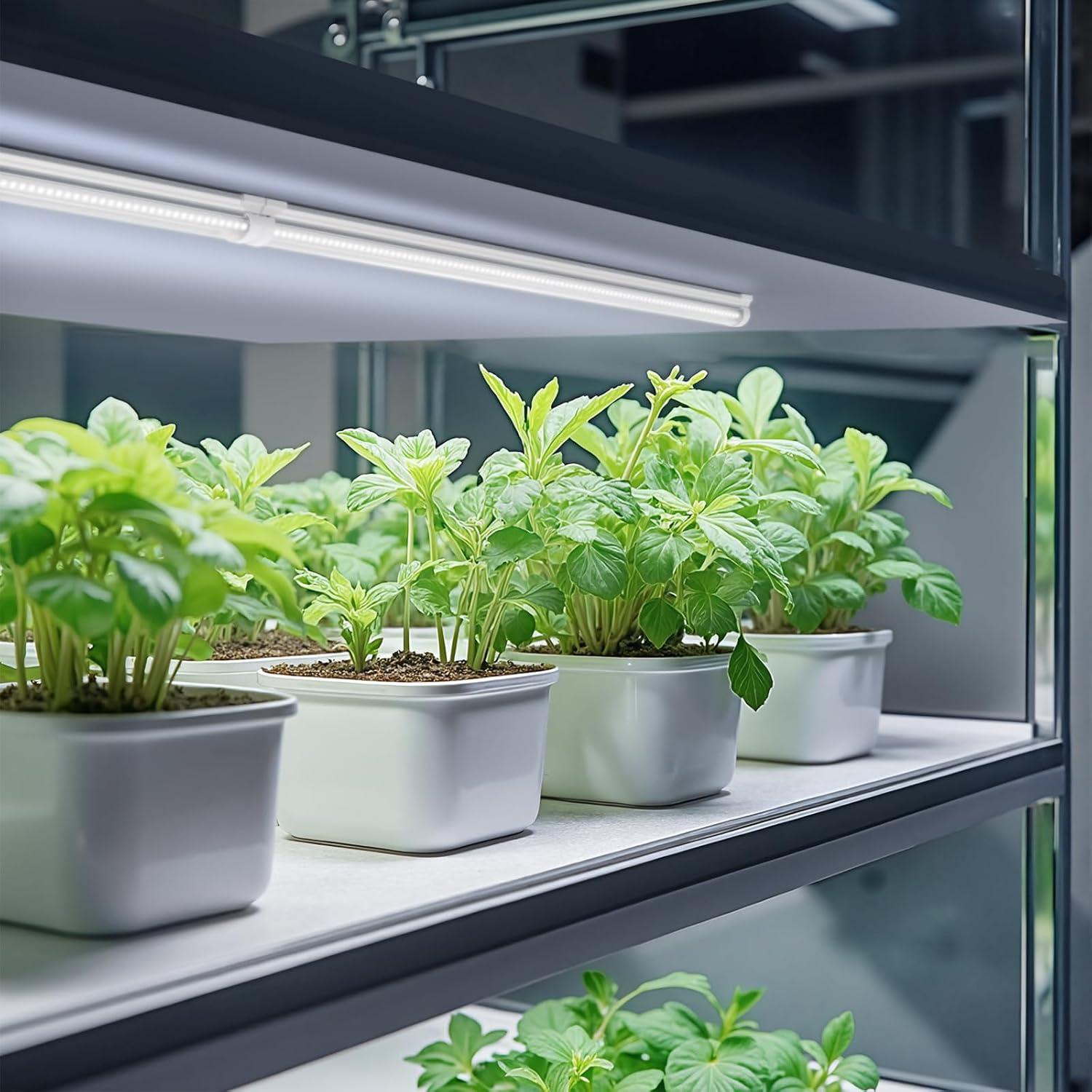 Luces de Cultivo Barrina T8 2FT 5000K Espectro Completo 144W