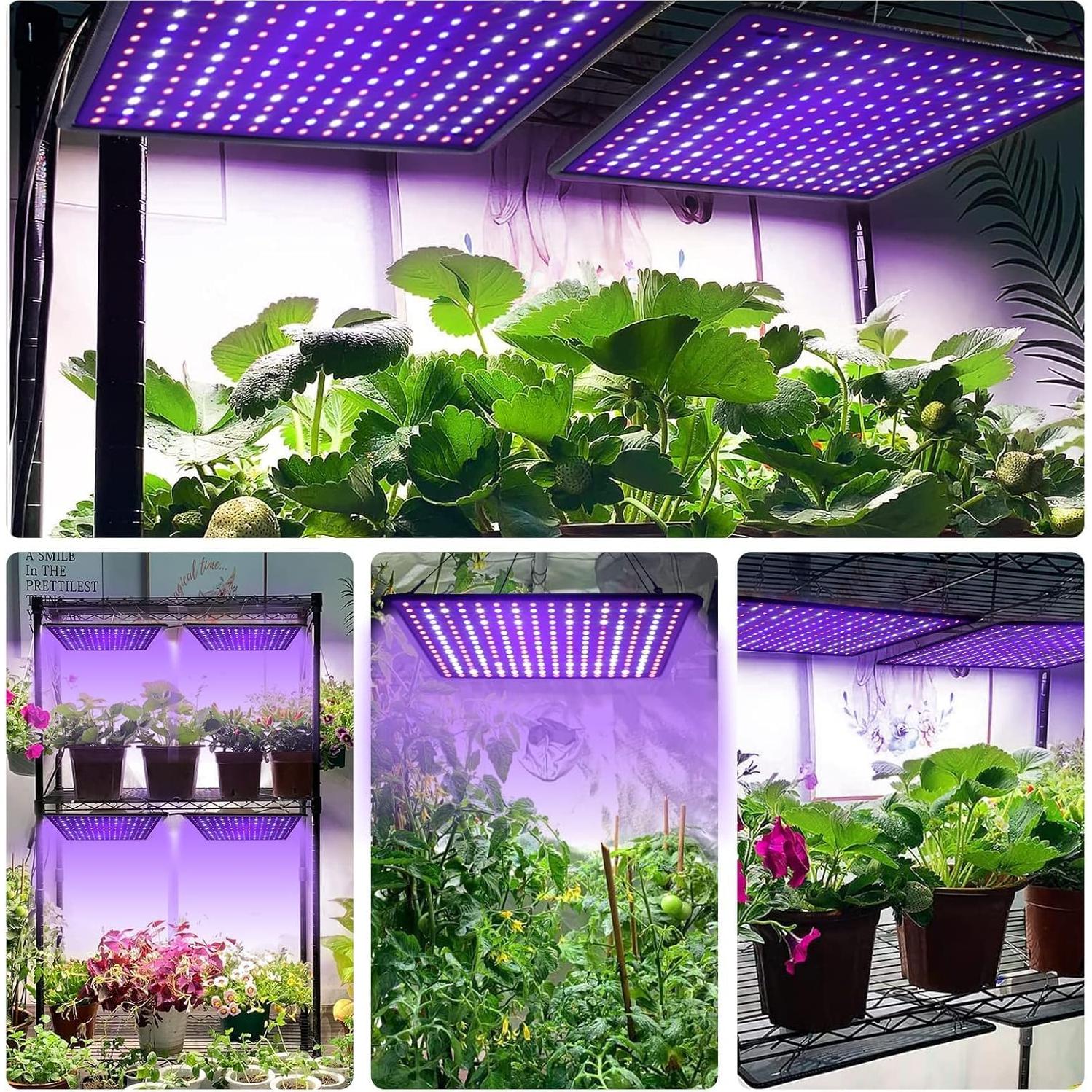 Luz de Cultivo LED LUYIMIN 600W Espectro Completo para Plantas