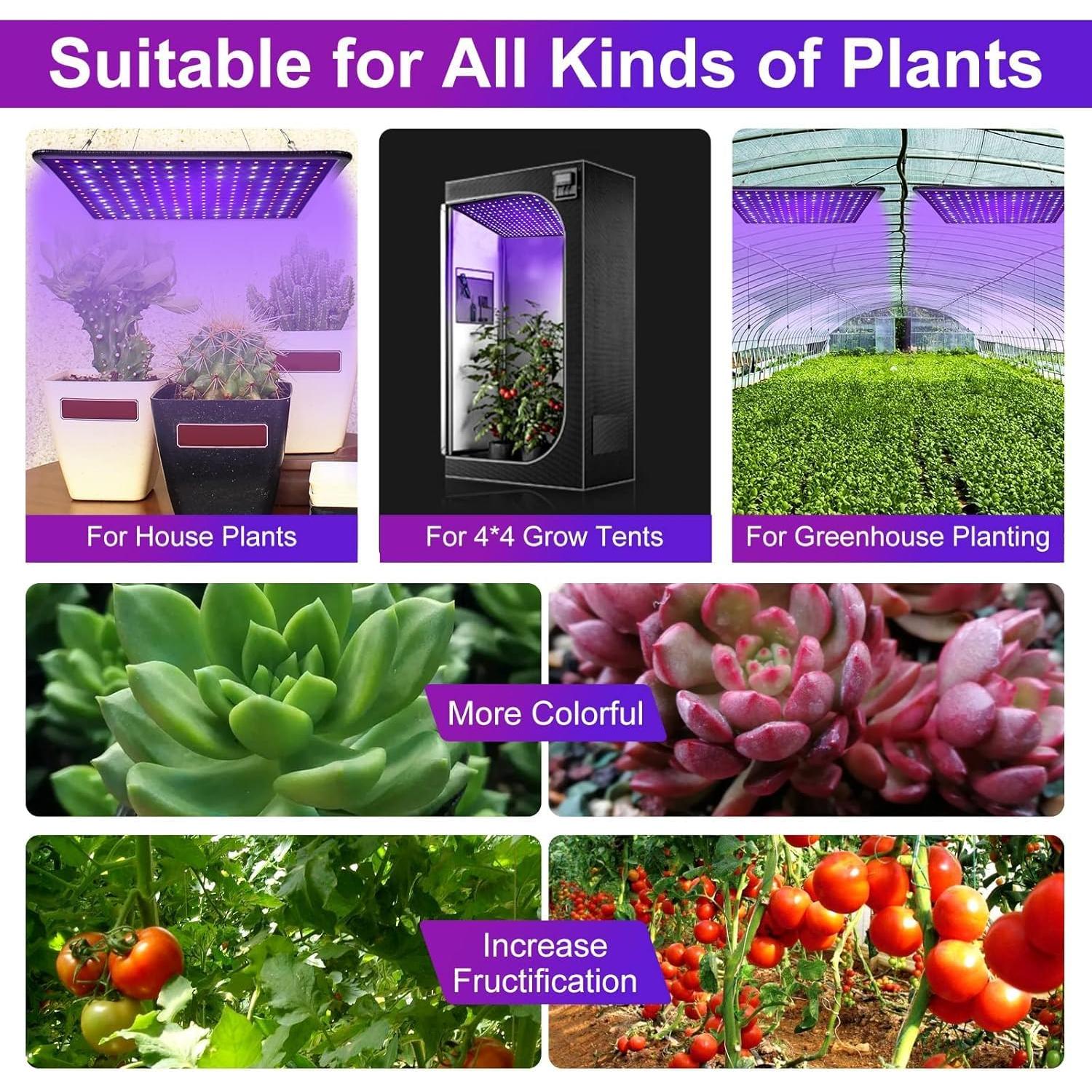 Luz de Cultivo LED LUYIMIN 600W Espectro Completo para Plantas