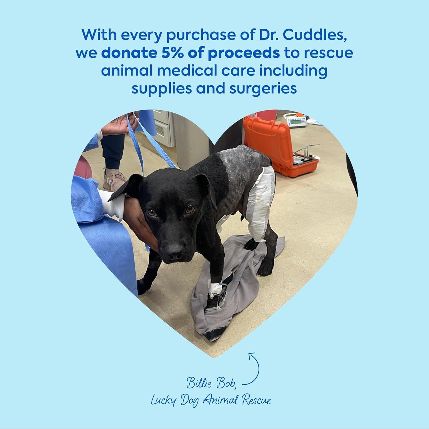 Kit de Primeros Auxilios para Perros ReadyRESCUE 30g - Detox Carbón Activado