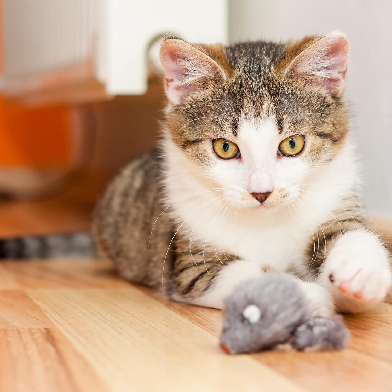 Juguete para Gato Smokey's Stash - 12 Ratones de Piel Realista