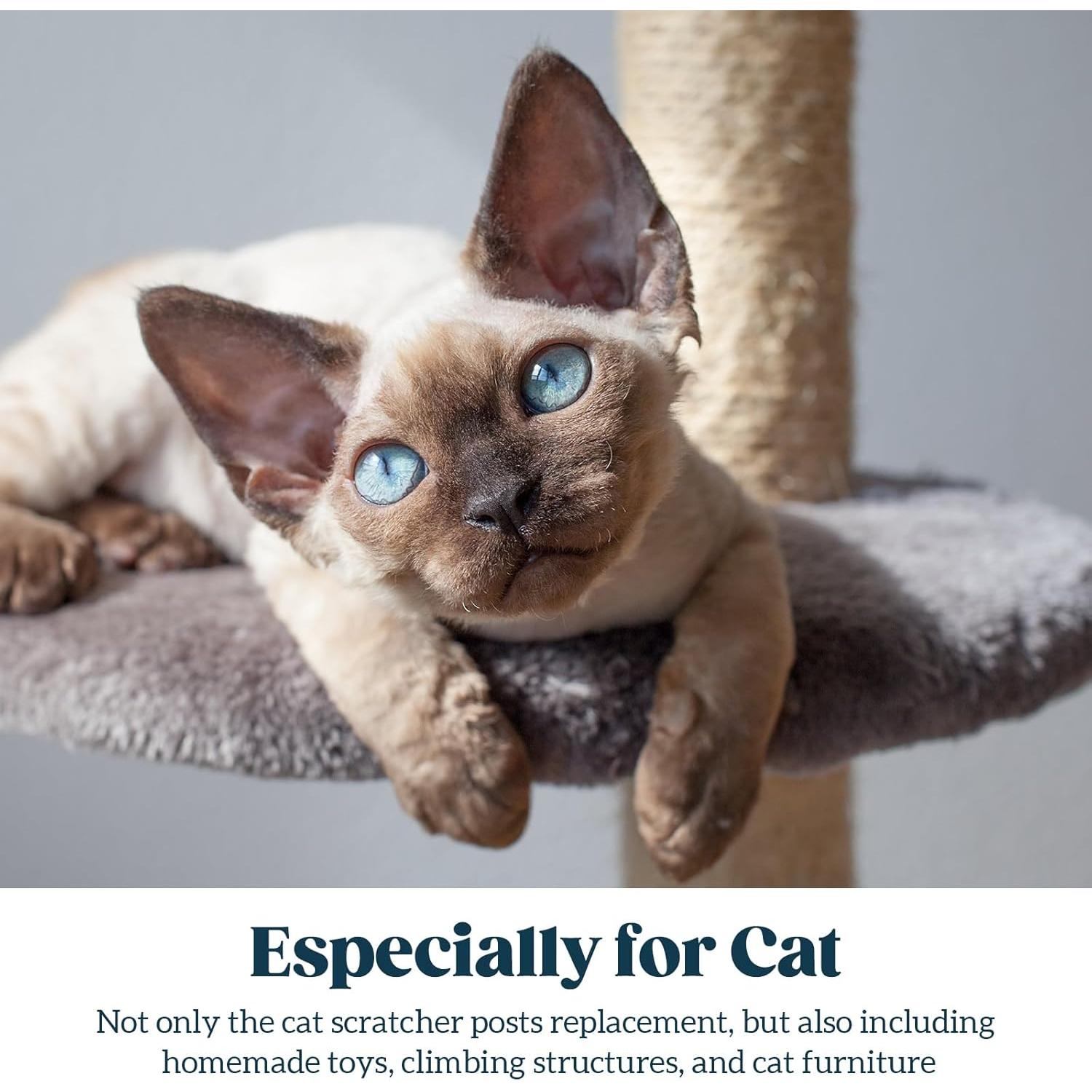 Cuerda de sisal natural PELZIN 0.64 cm x 15.24 m para gatos