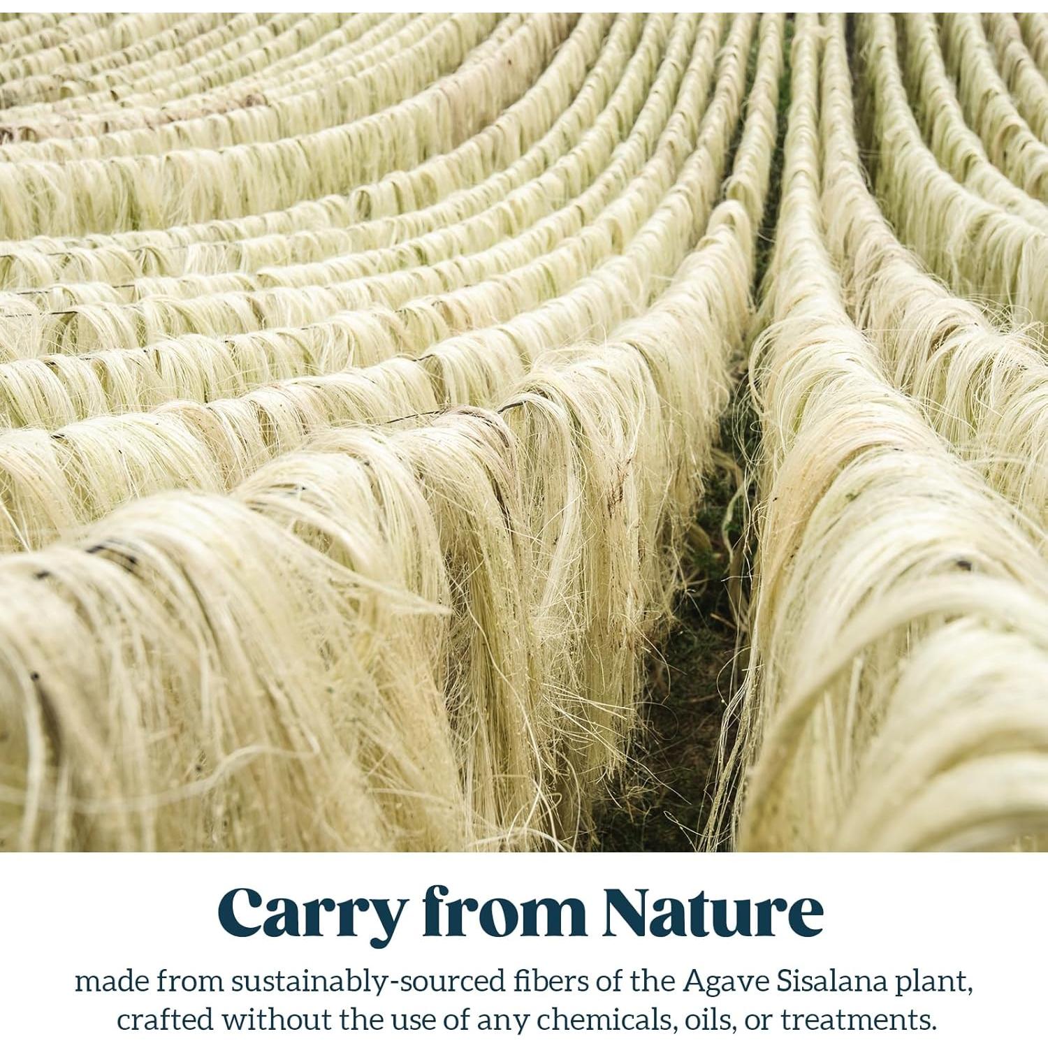 Cuerda de sisal natural PELZIN 0.64 cm x 15.24 m para gatos