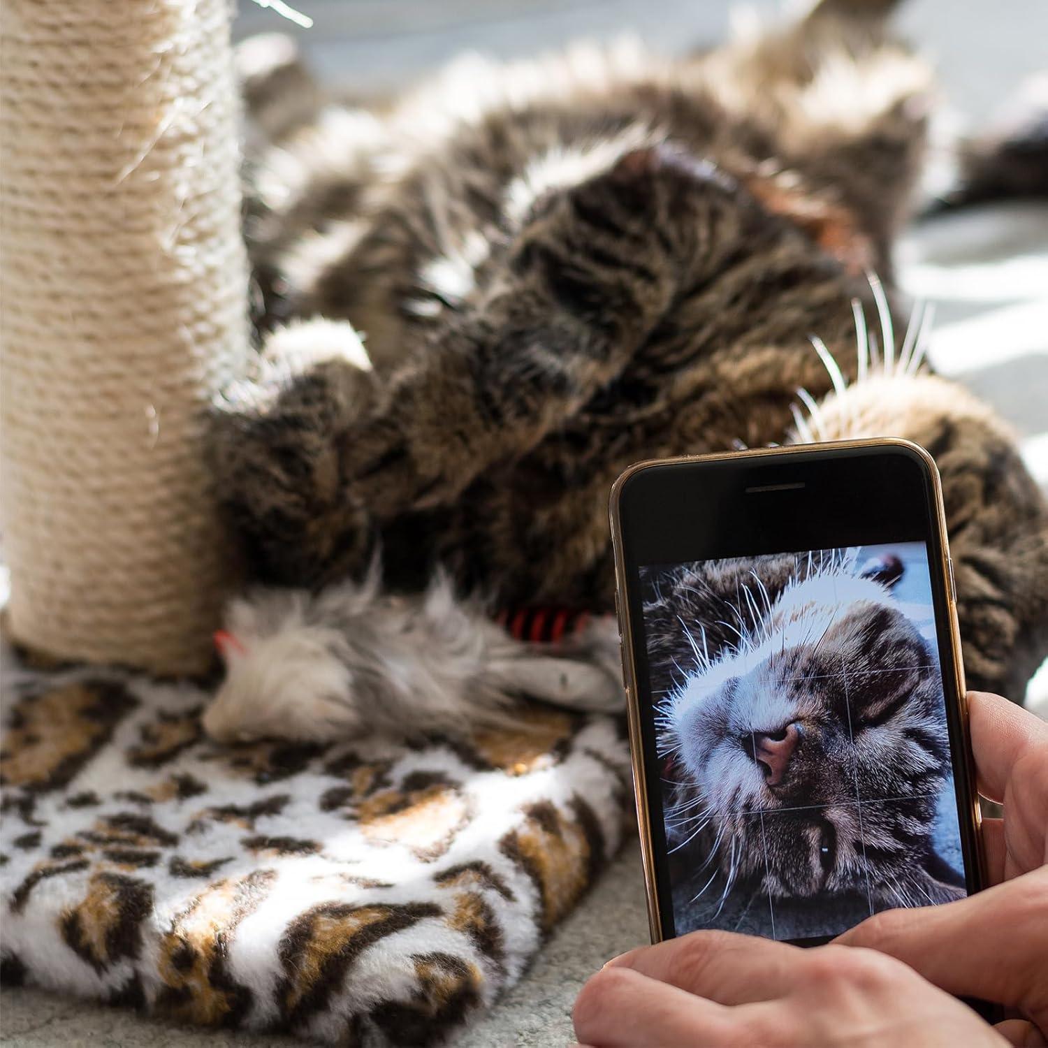 Cuerda de sisal natural PELZIN 0.64 cm x 15.24 m para gatos