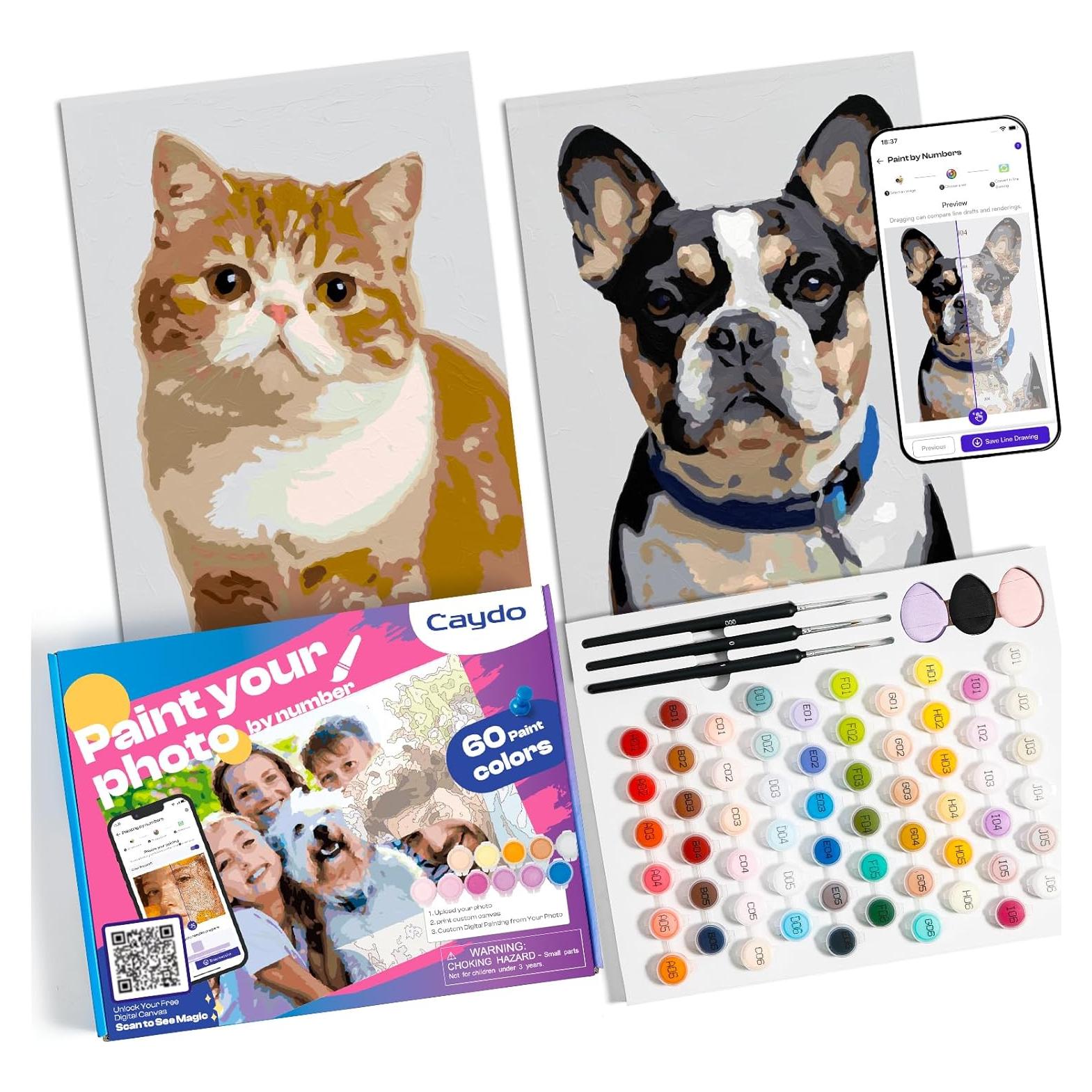 Kit de Pintura por Números Caydo para Adultos - 3 Lienzos A4 y 60 Acrílicos