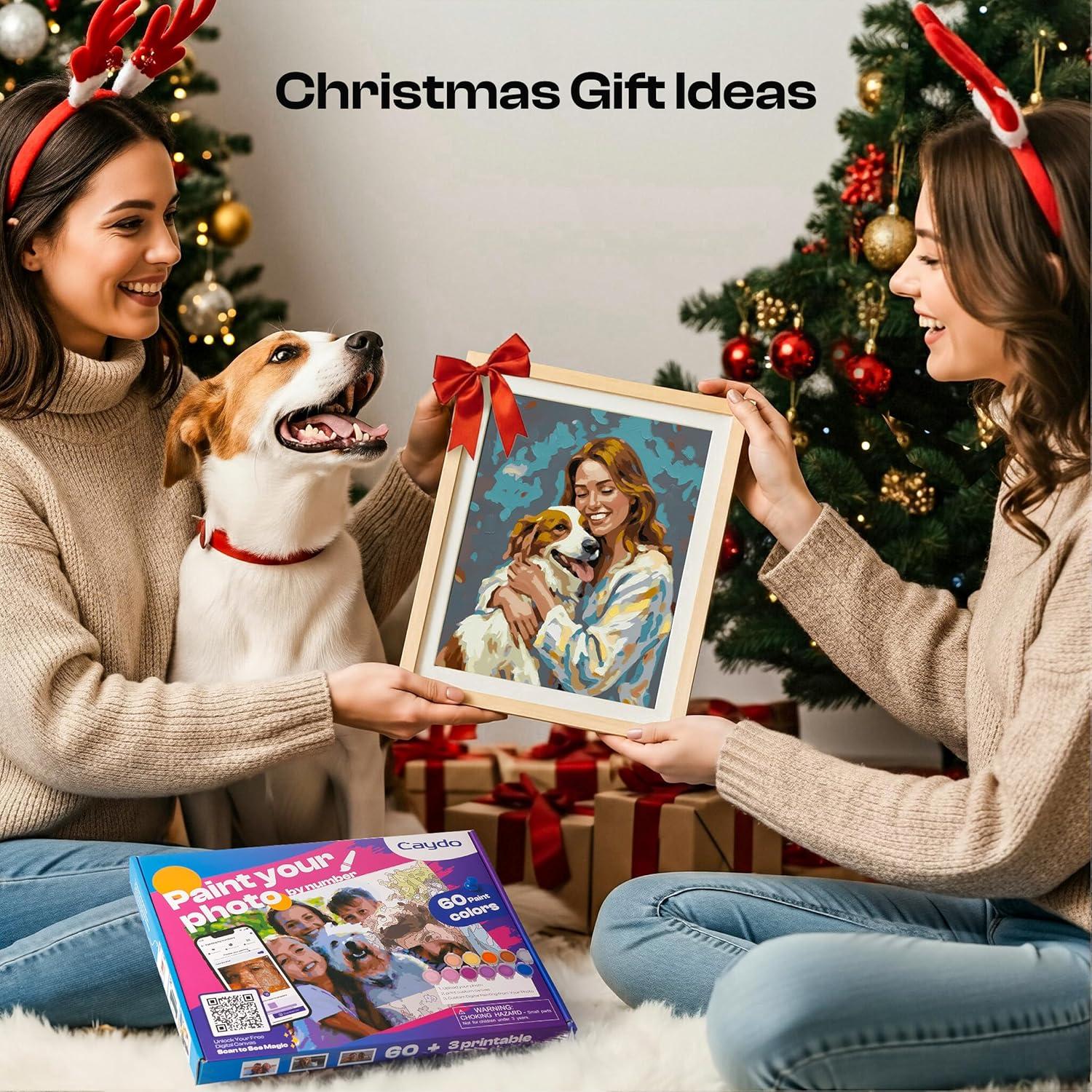 Kit de Pintura por Números Caydo para Adultos - 3 Lienzos A4 y 60 Acrílicos