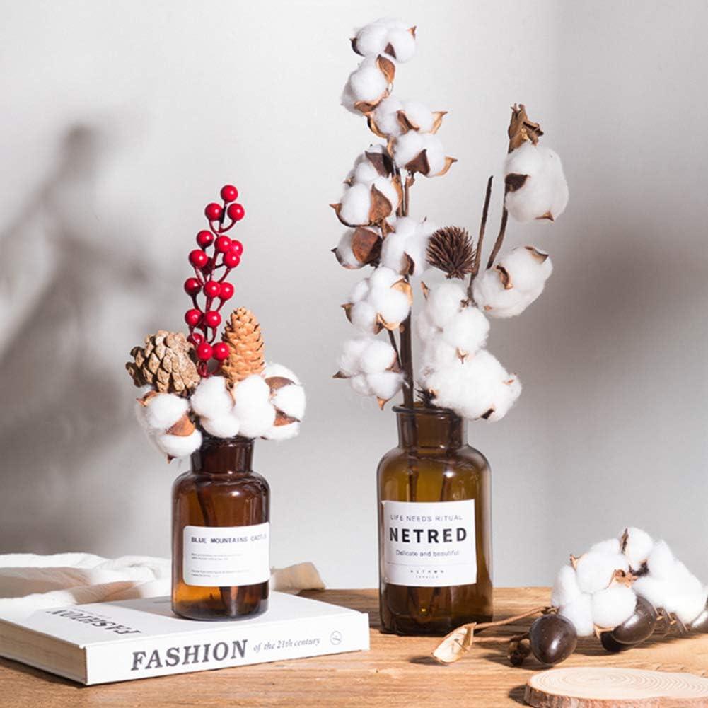 Ramas de Algodón Natural DomeStar - 8 Paquetes de 15 Bolas