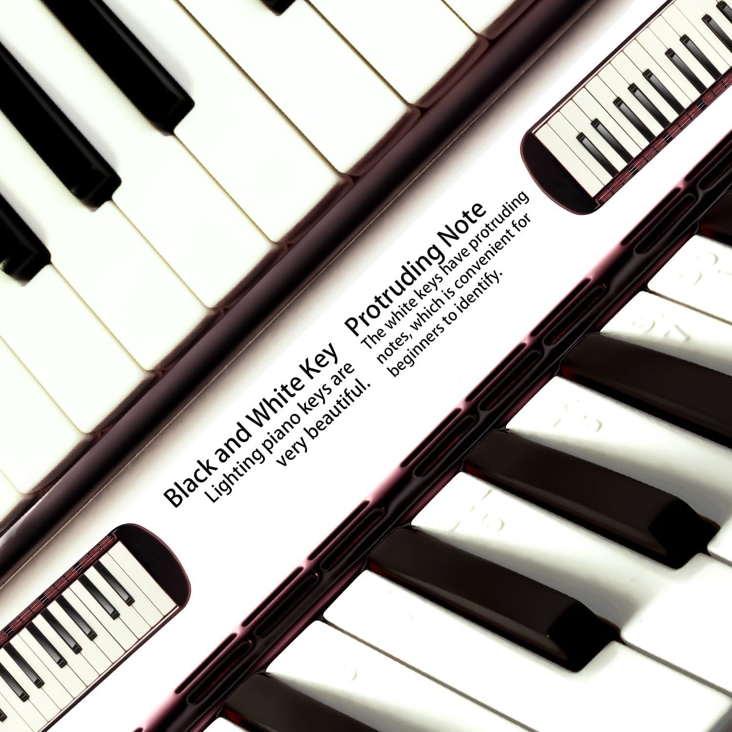 Piano de Aire Melódico Profesional YCXYQ 37 Teclas Negro