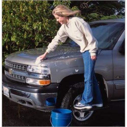 Escalón Heininger HitchMate TireStep para SUV y Camionetas