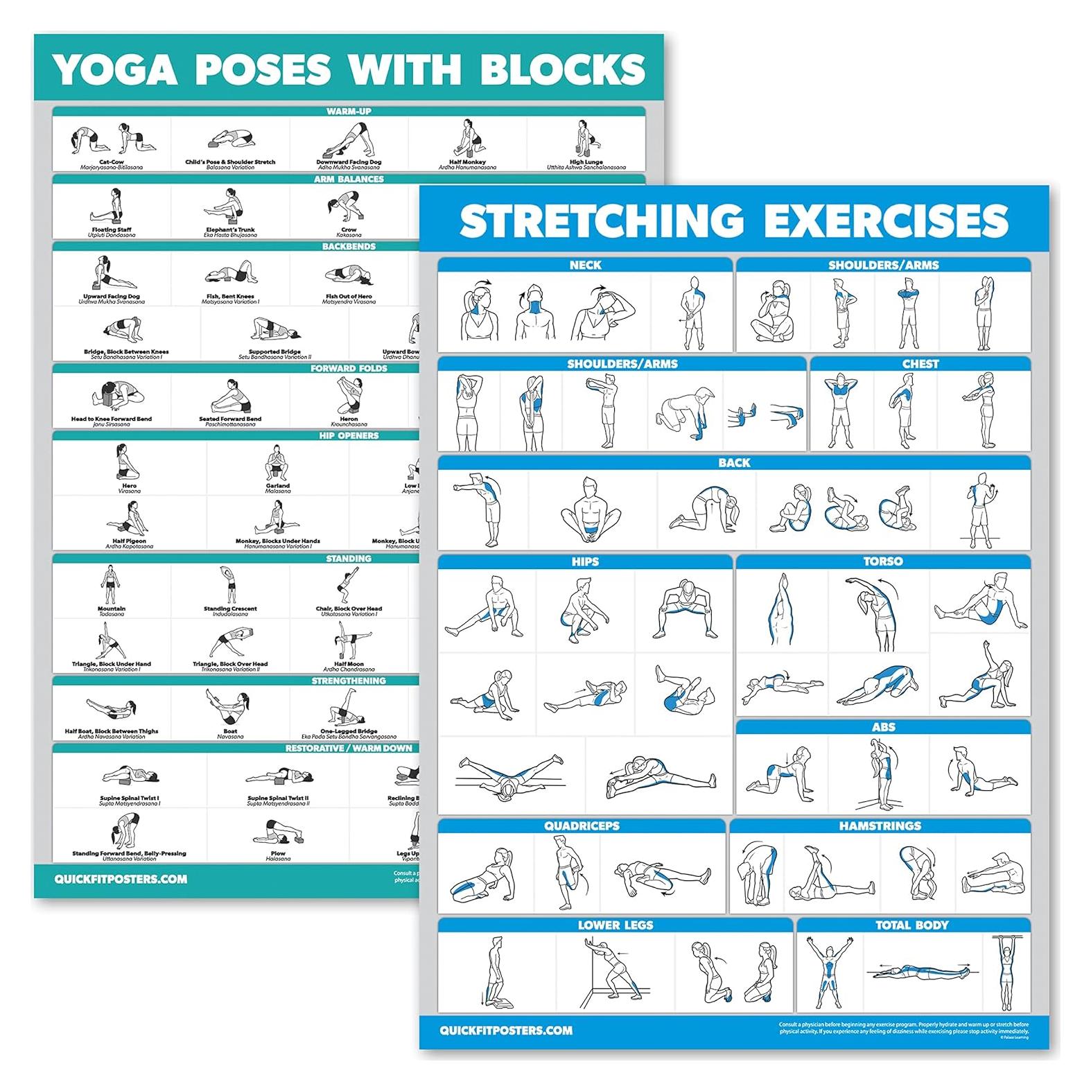 Paquete de 2 Bloques de Yoga Palace Learning + Póster 45.72x60.96cm