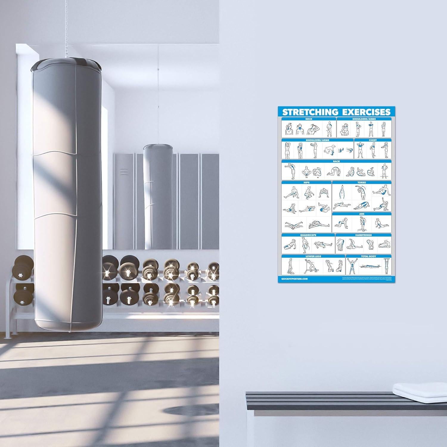 Paquete de 2 Bloques de Yoga Palace Learning + Póster 45.72x60.96cm