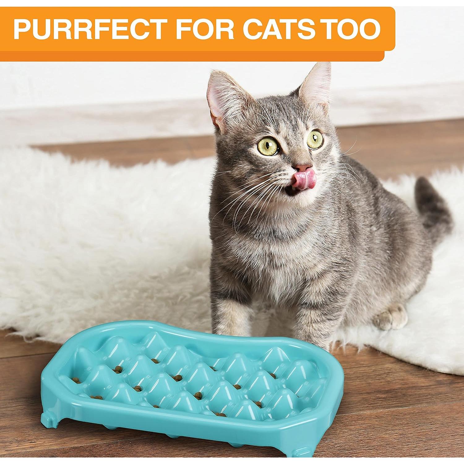 Cuenco Antideslizante Neater Slow Feeder 2.5 Tazas Aguamarina