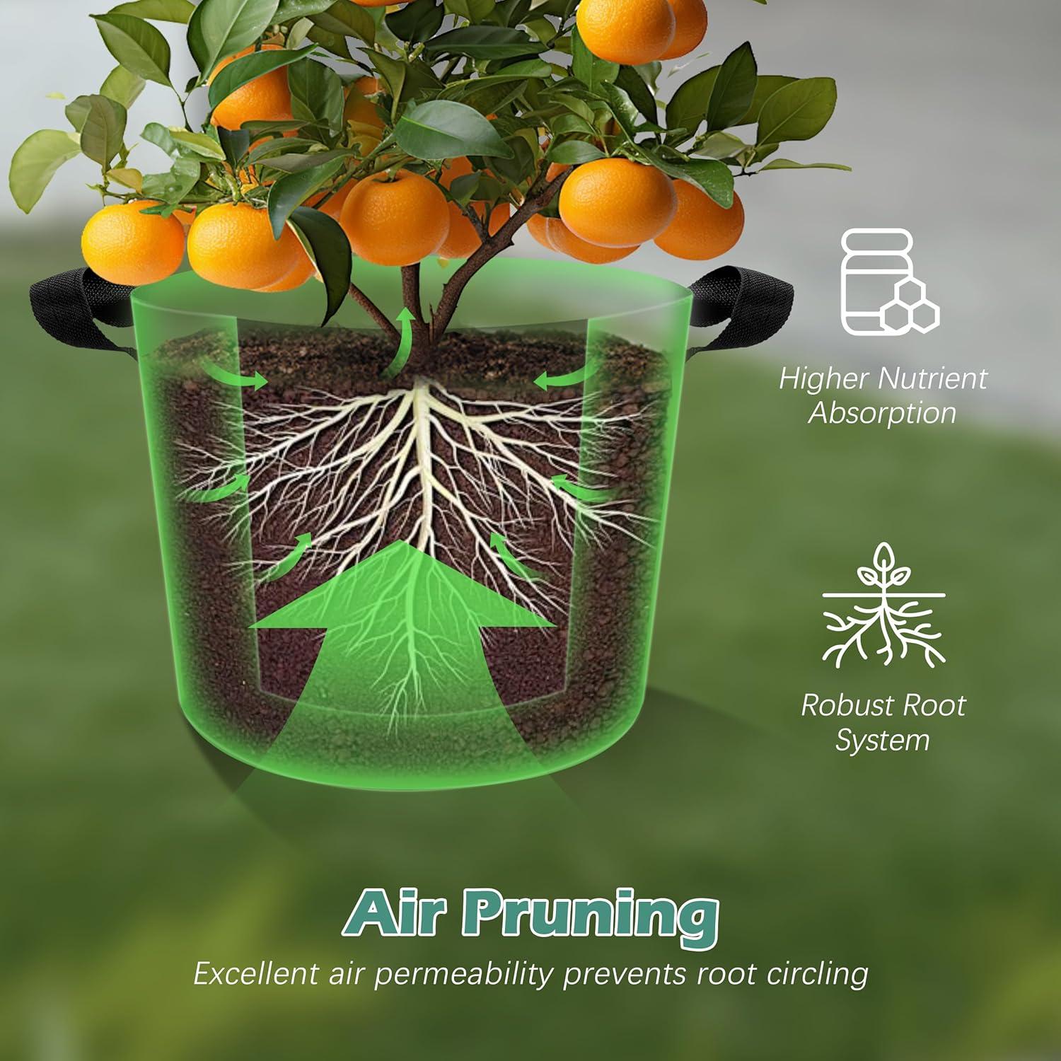 Paquete de 5 Bolsas de Crecimiento WTREE 7.6L Tela Resistente