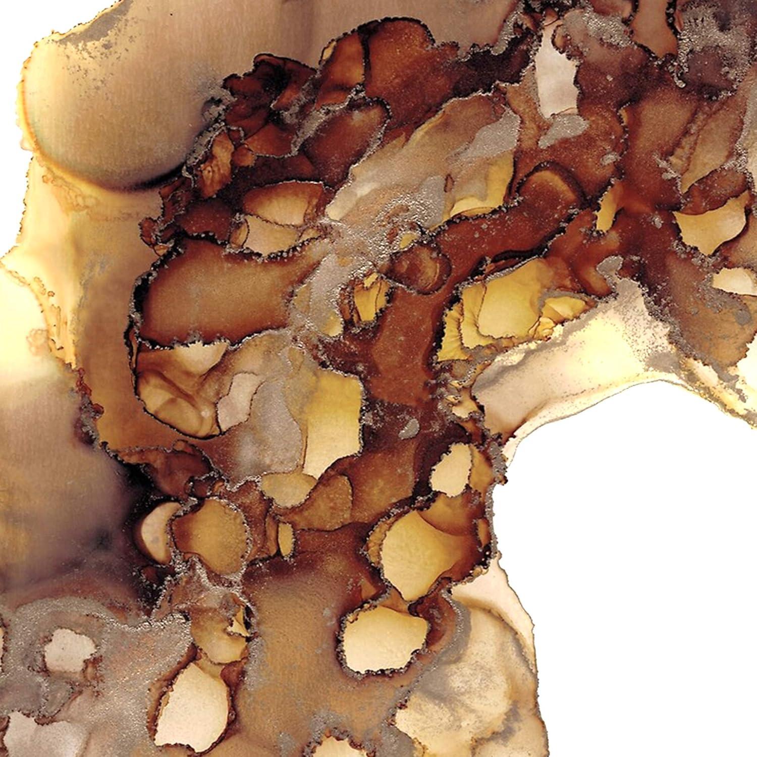 Juego de Tintas de Alcohol Pixiss - 5 Tonos Marrones 15ml