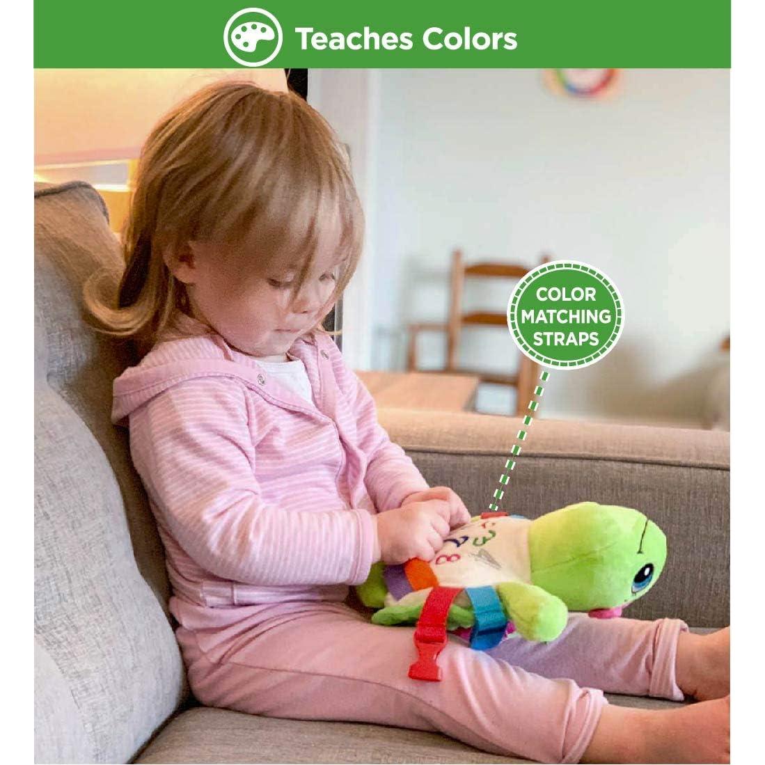 Juguete de Hebilla Tortuga Belle - Peluche Montessori 1-3 Años