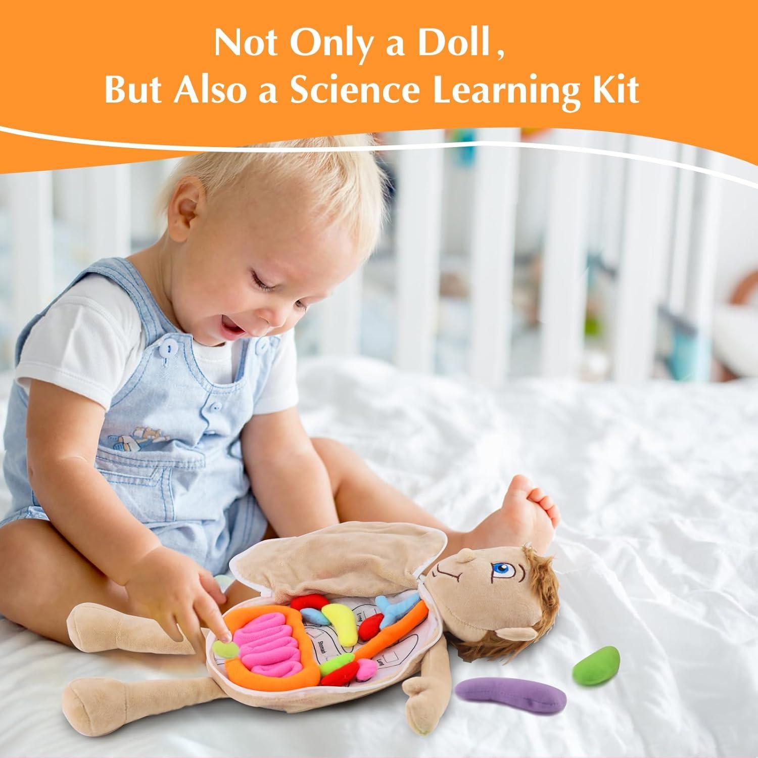 Juguete de Anatomía del Cuerpo Humano Vocheer 50x34 cm