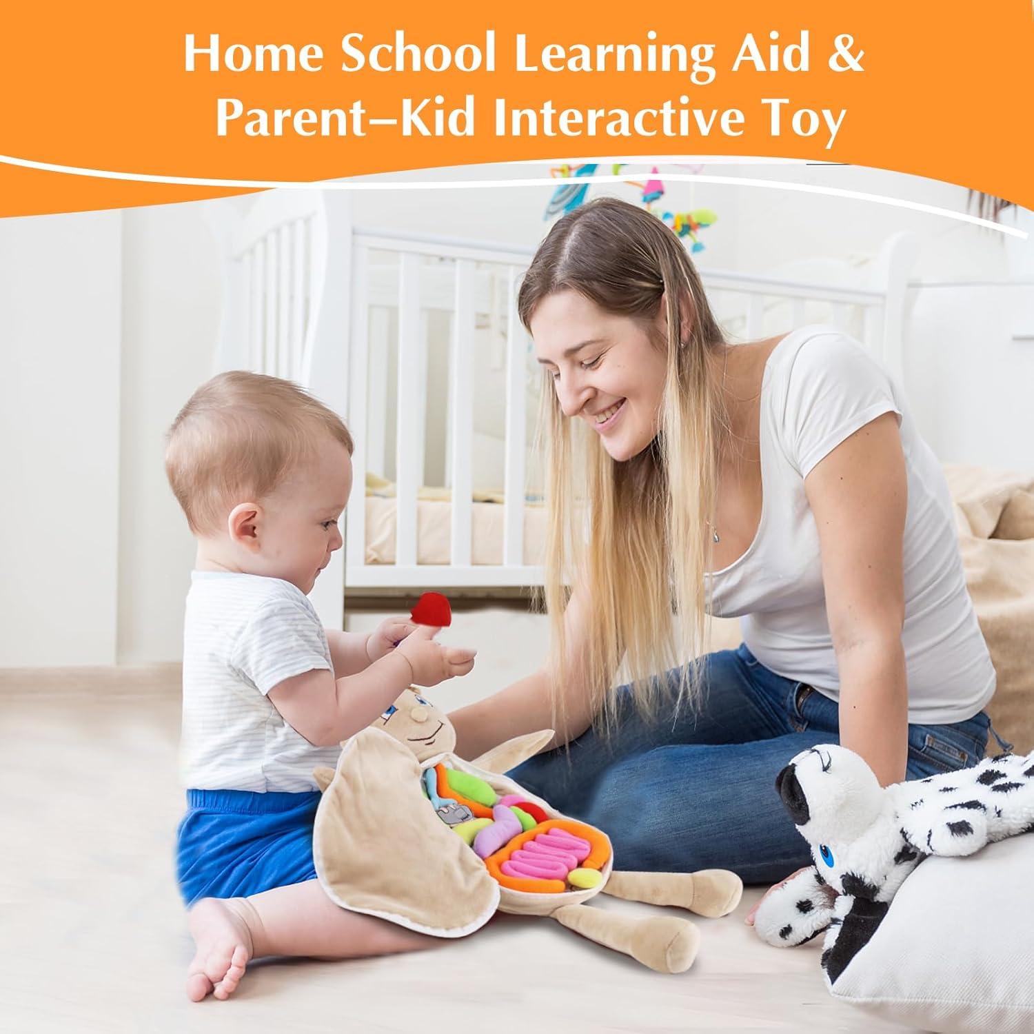 Juguete de Anatomía del Cuerpo Humano Vocheer 50x34 cm