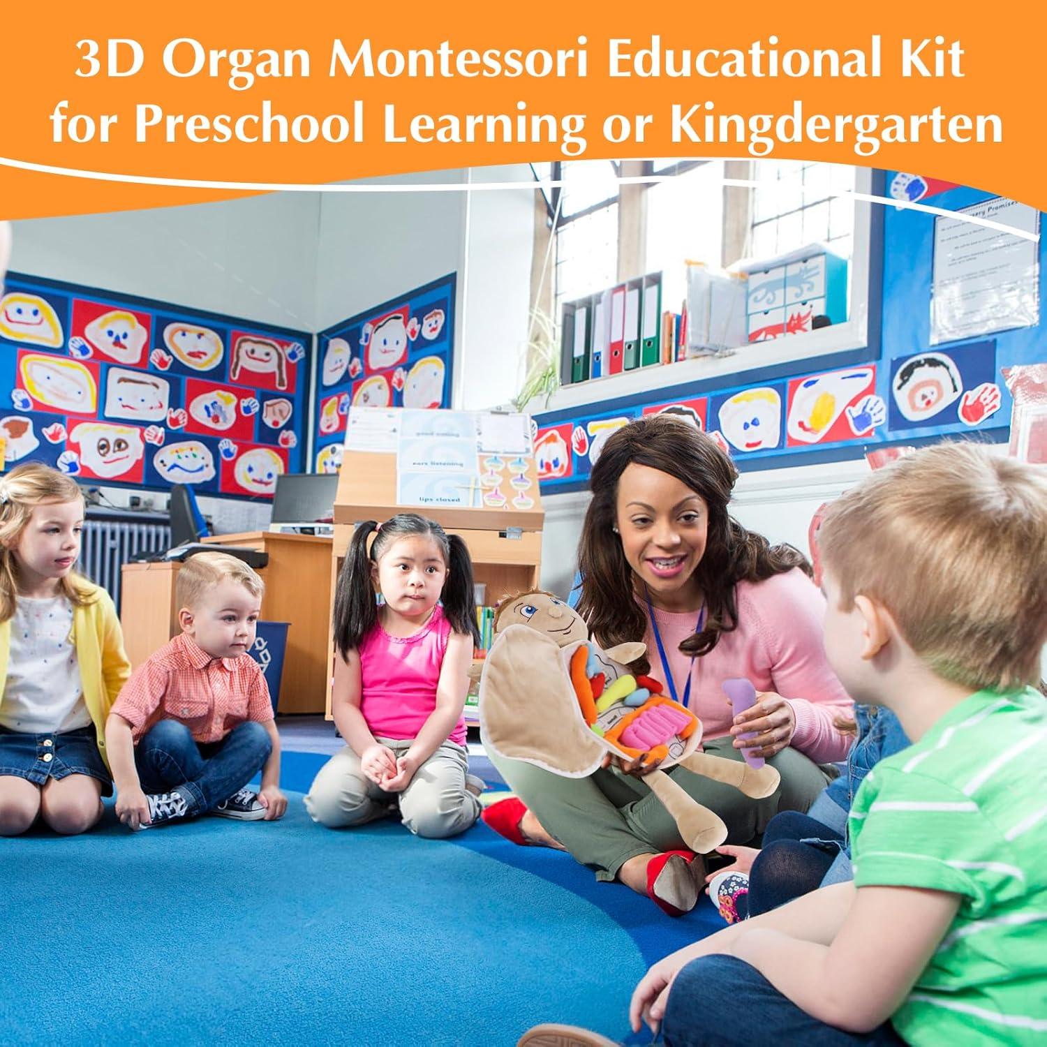 Juguete de Anatomía del Cuerpo Humano Vocheer 50x34 cm