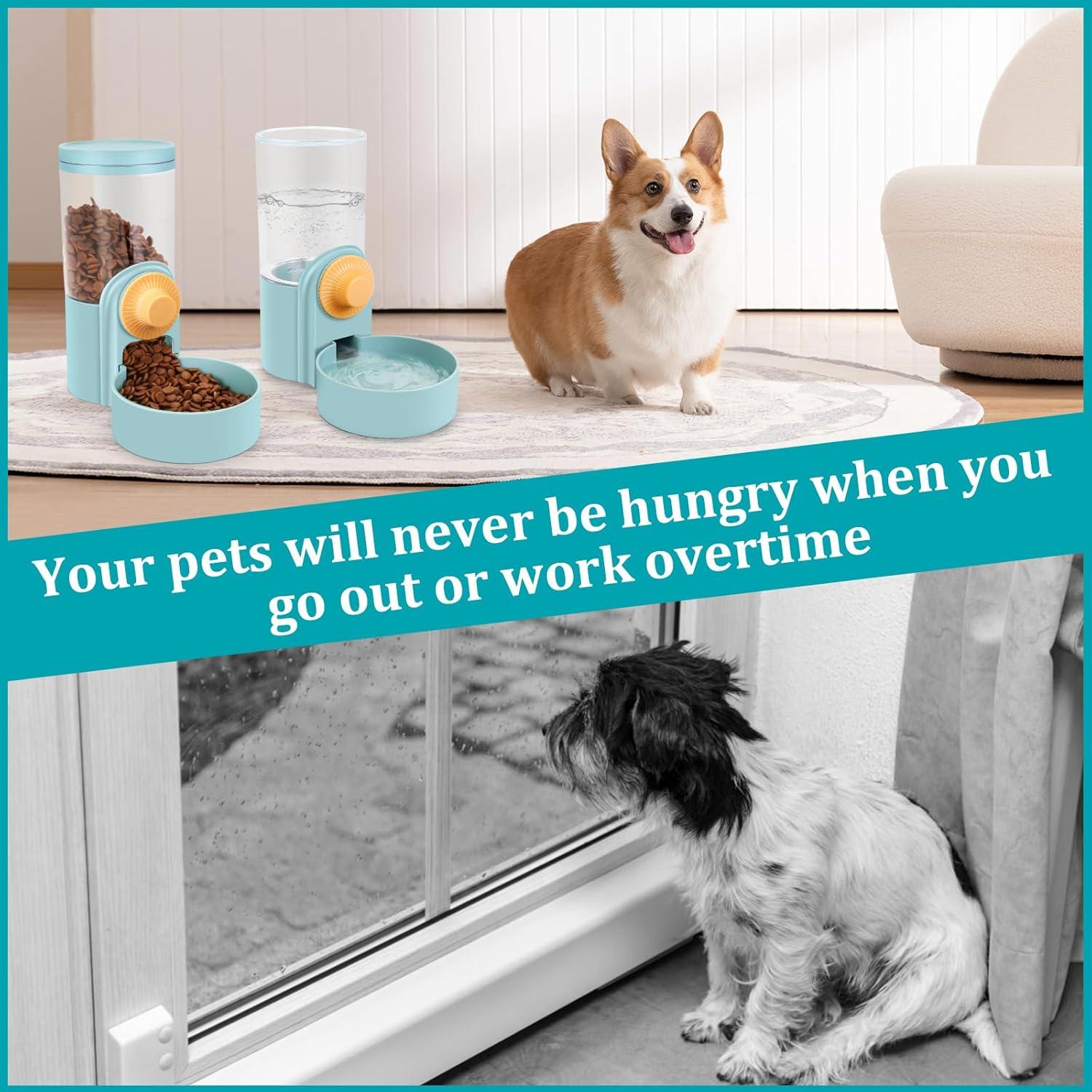 Dispensador Automático de Agua y Comida DricRoda 1L Azul