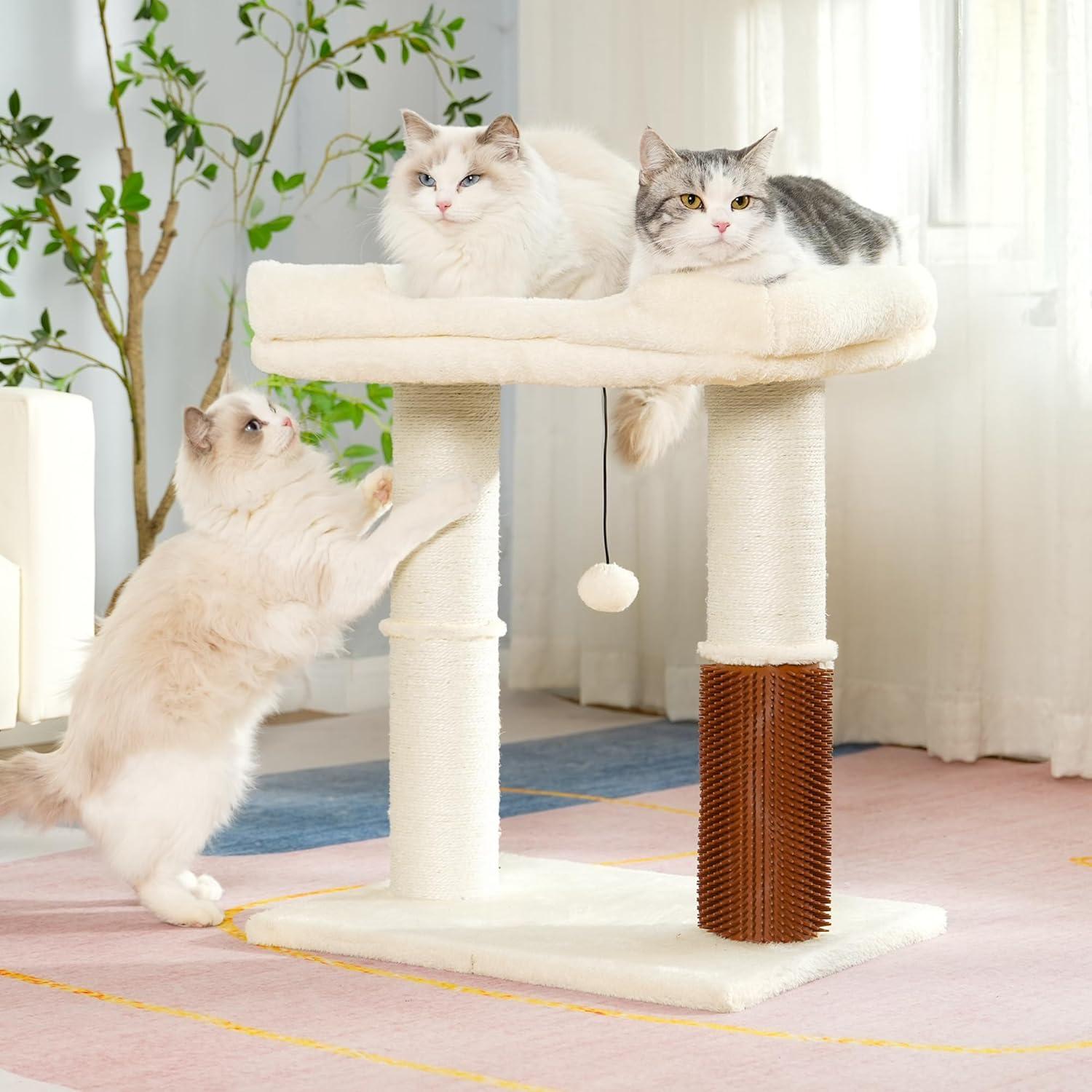 Torre Rascador para Gatos Pawfessor Grande Beige 50x39.9 cm