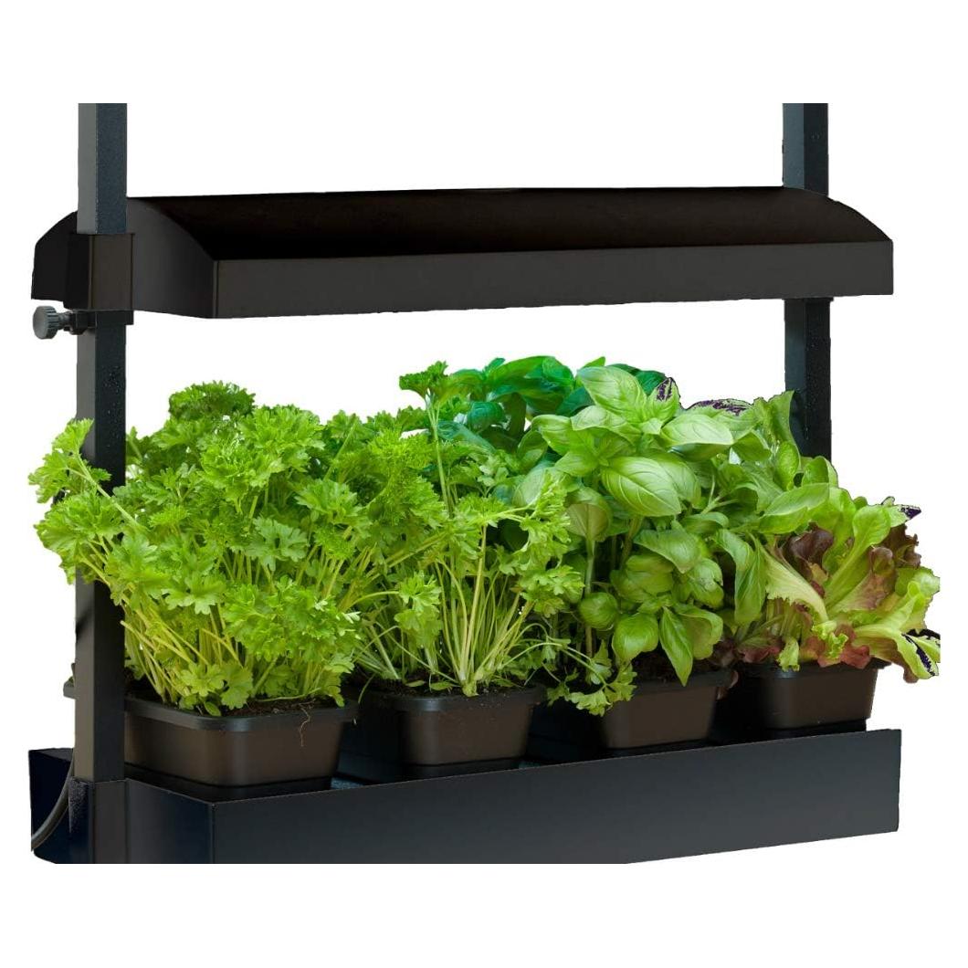 Kit de Cultivo Interior SunBlaster T5HO 11W Negro 30.48cm