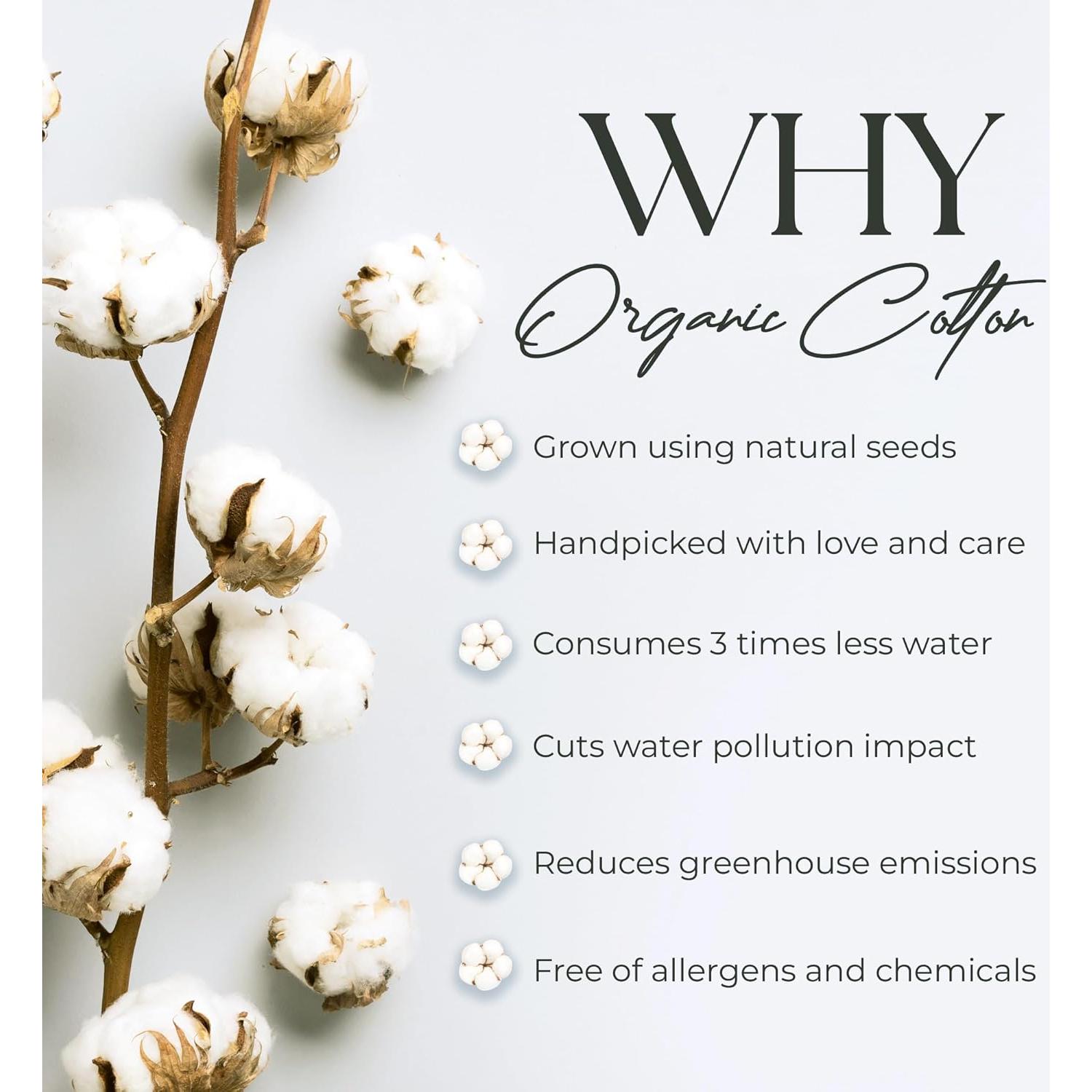 Juego de Sábanas Completo ELEGANCIA SUPREMA Algodón Orgánico 4 Piezas