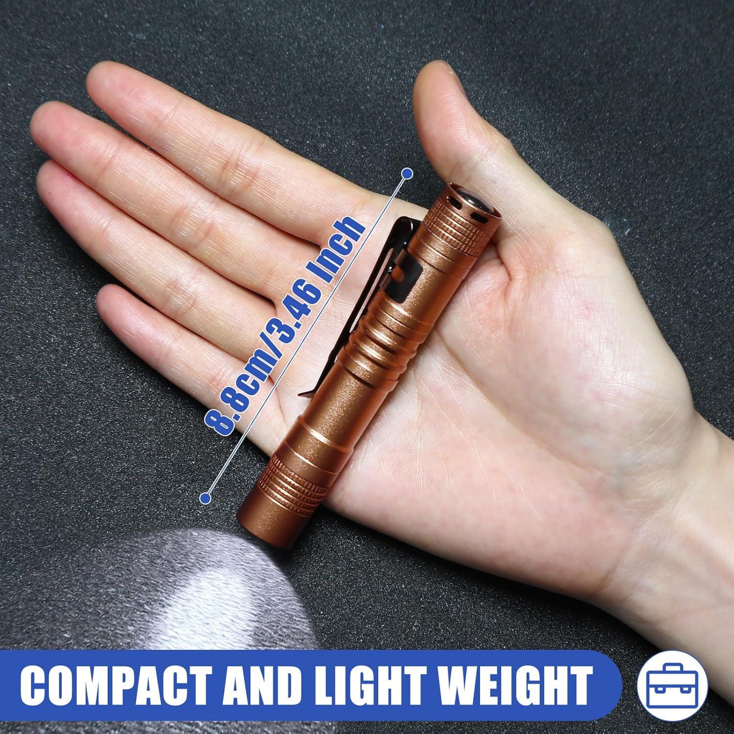 Hortsun 10 Linternas Mini LED con Clip 9 cm - Regalo Día del Padre