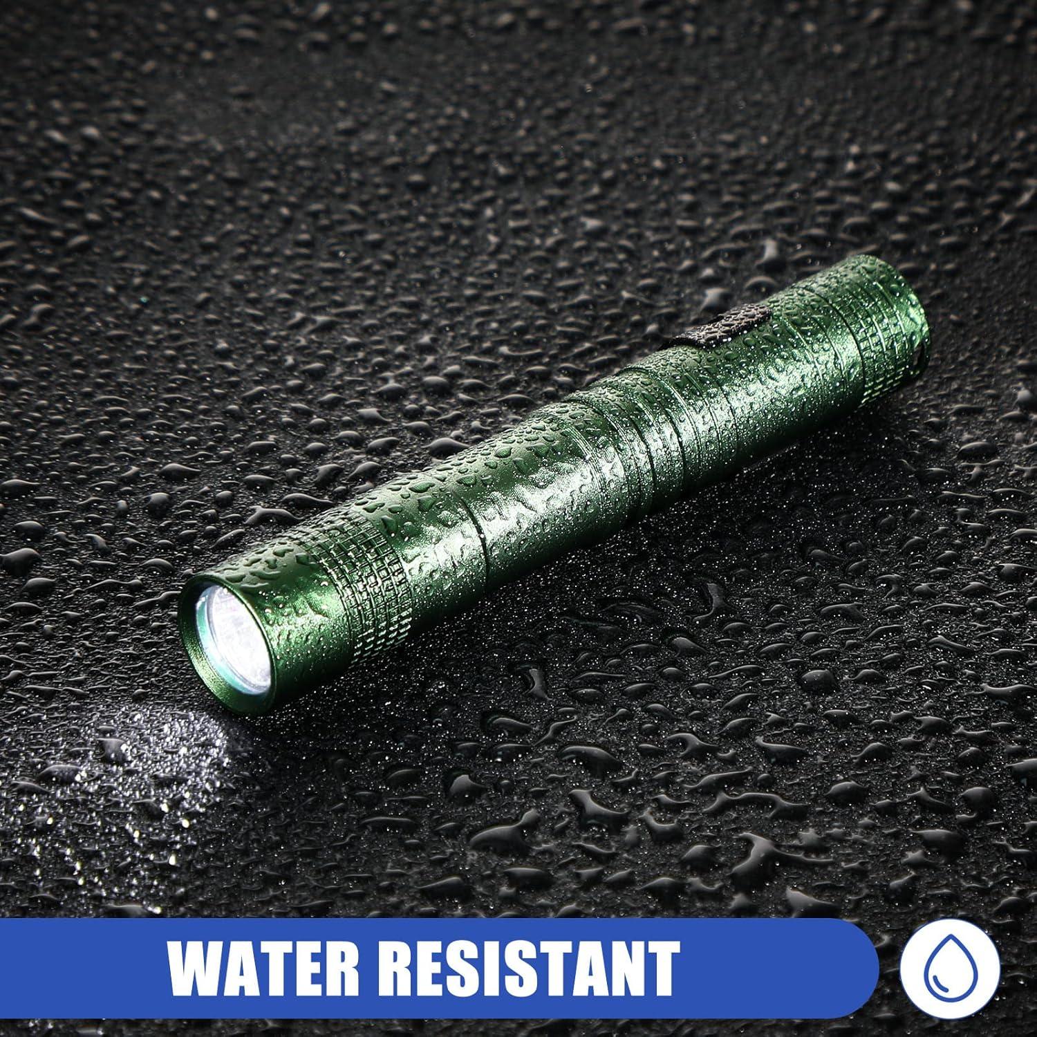 Hortsun 10 Linternas Mini LED con Clip 9 cm - Regalo Día del Padre