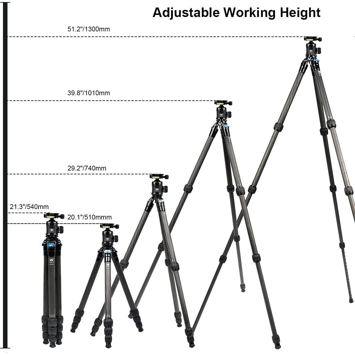 Trípode SIRUI AM-254 de Fibra de Carbono con Cabeza K20X