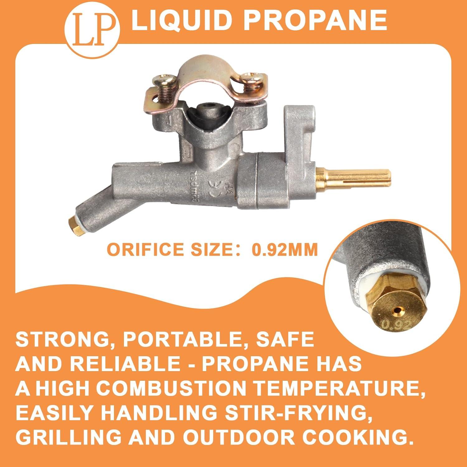 Válvula de Control de Quemador Principal PETKAO para Weber Spirit II