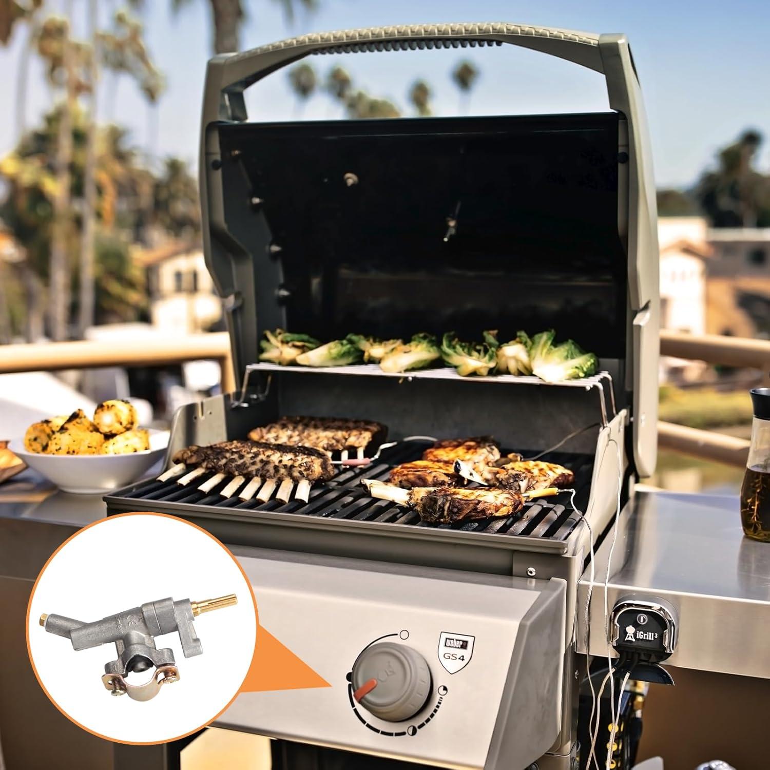 Válvula de Control de Quemador Principal PETKAO para Weber Spirit II