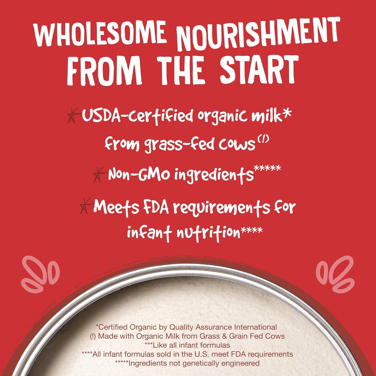 Fórmula Infantil Orgánica Earth's Best 595g con DHA y ARA