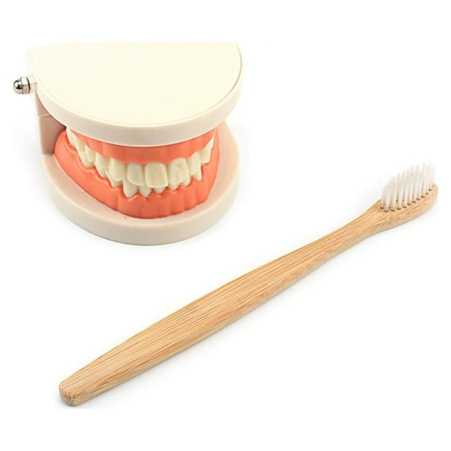 Juguete Educativo DANNI Montessori Cepillado de Dientes 25x20cm