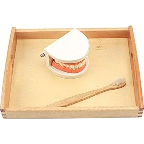 Juguete Educativo DANNI Montessori Cepillado de Dientes 25x20cm