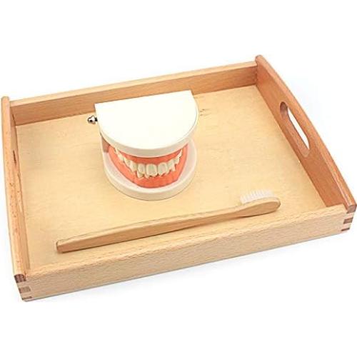 Juguete Educativo DANNI Montessori Cepillado de Dientes 25x20cm