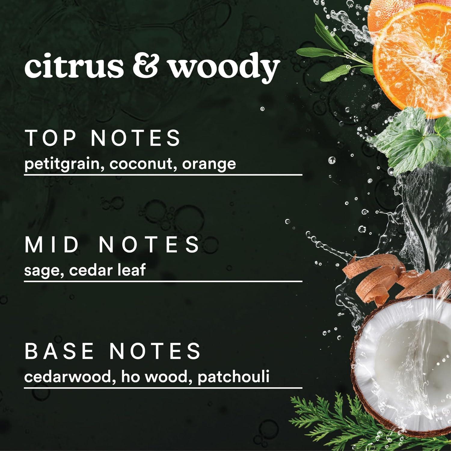 Aceite de Fragancia para el Hogar Homedics Higo y Salvia 15 ml