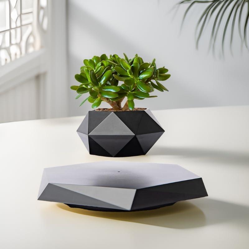 Maceta Flotante MOOCCI Hexagonal para Suculentas 19.5cm