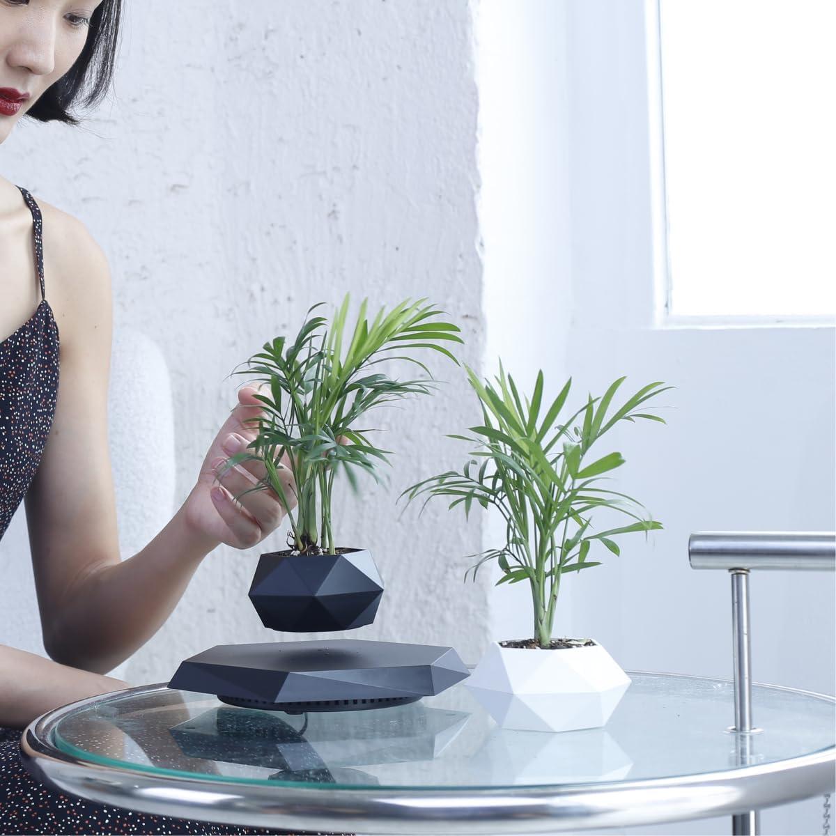 Maceta Flotante MOOCCI Hexagonal para Suculentas 19.5cm