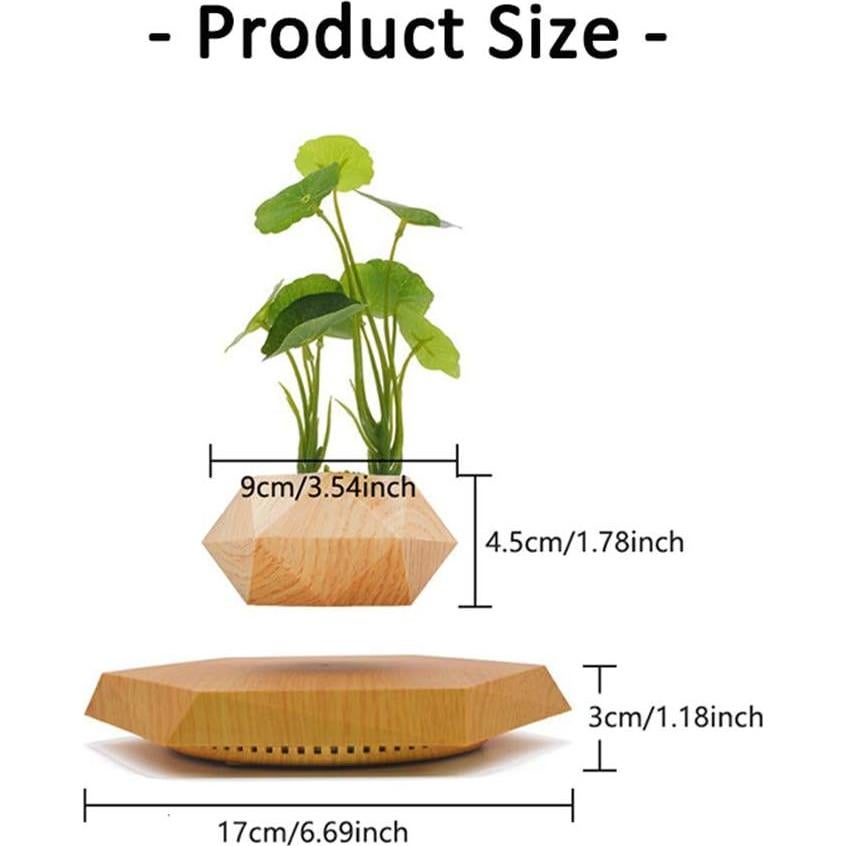 Maceta Flotante Hexagonal KIYOMING para Bonsai 19x19 cm