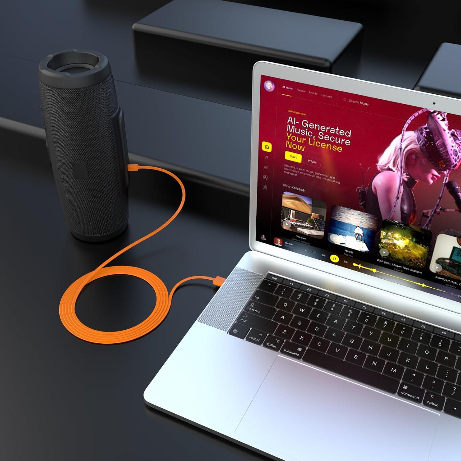 Cable de carga USB-C a USB-A Xivip 1.01m para JBL y auriculares