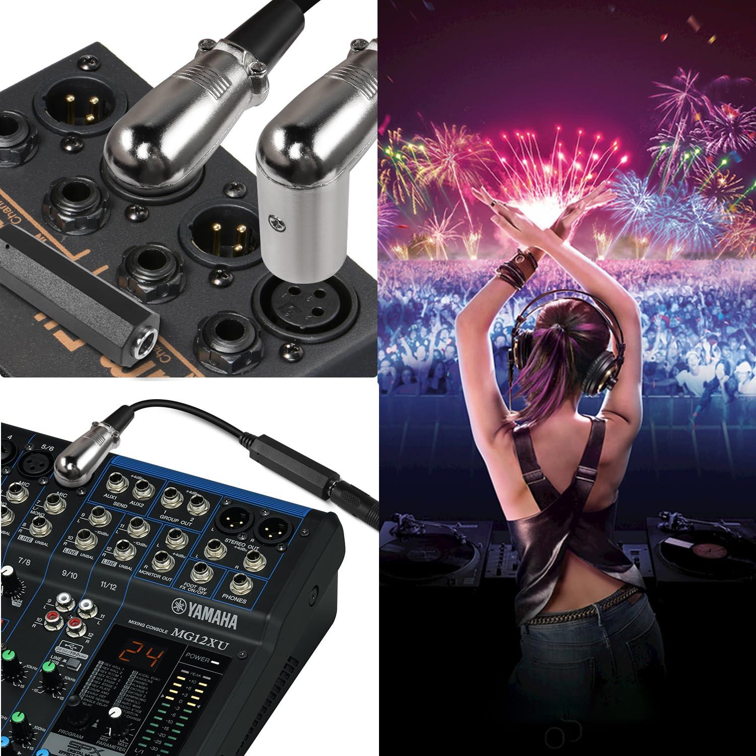 Cable Balanceado XLR Macho a TRS 6.35mm 90° QIANRENON 30cm