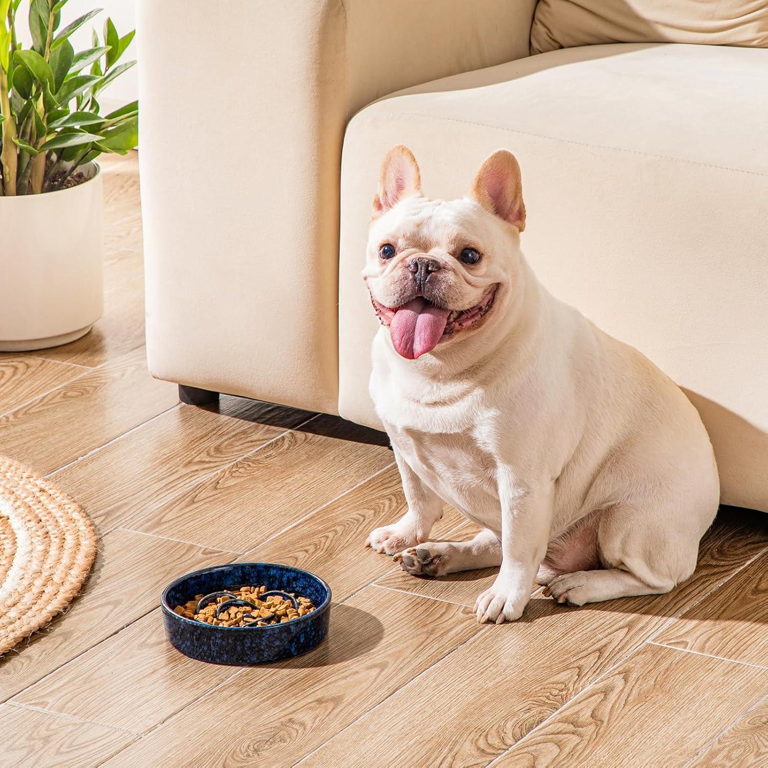 Tazón de Cerámica para Perros vancasso 0.6 Tazas Azul
