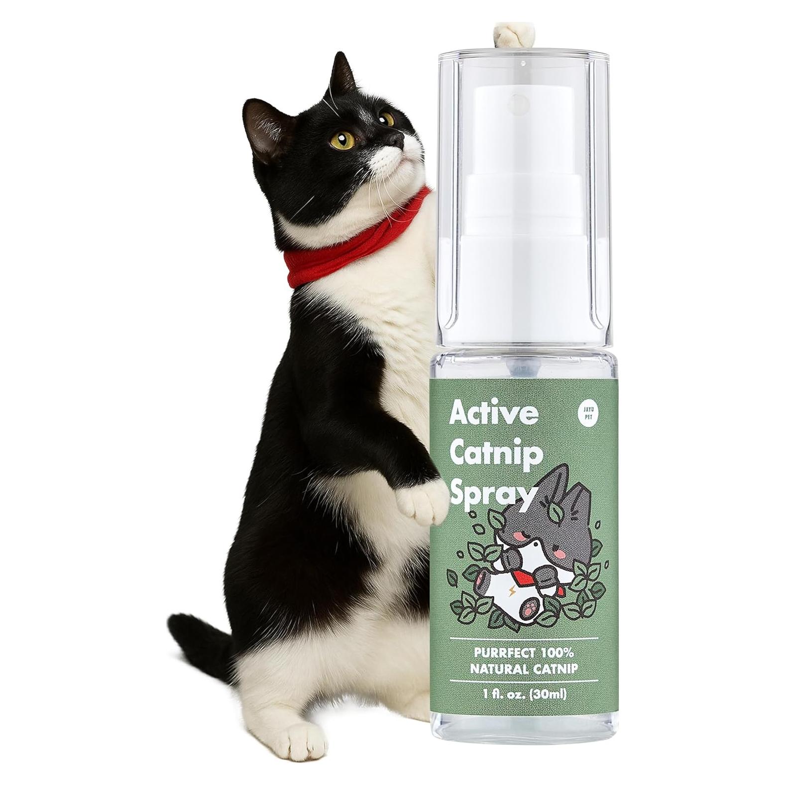 Spray de Catnip Orgánico JAYU PET 29.57 ml - Alivia Estrés Gatos