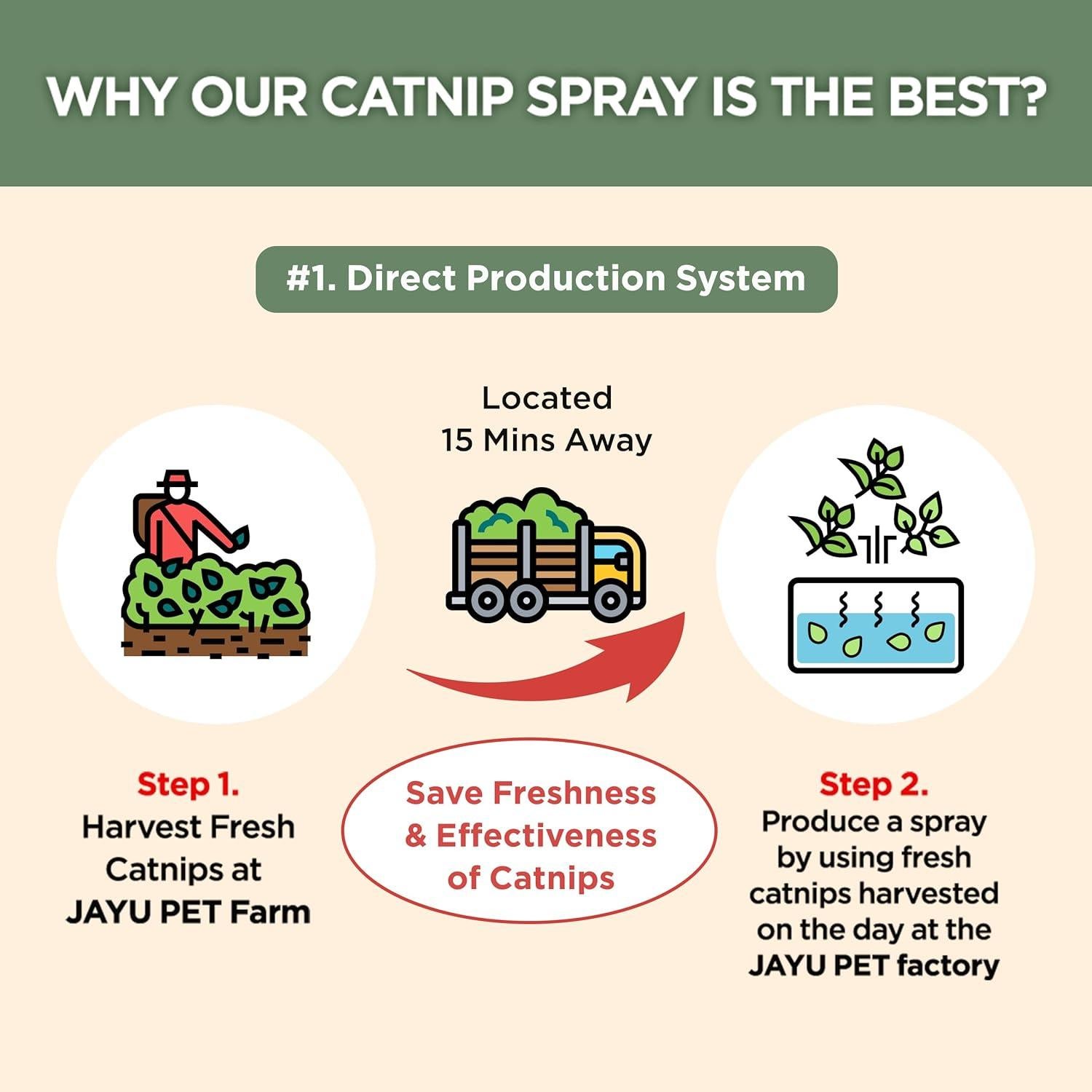 Spray de Catnip Orgánico JAYU PET 29.57 ml - Alivia Estrés Gatos