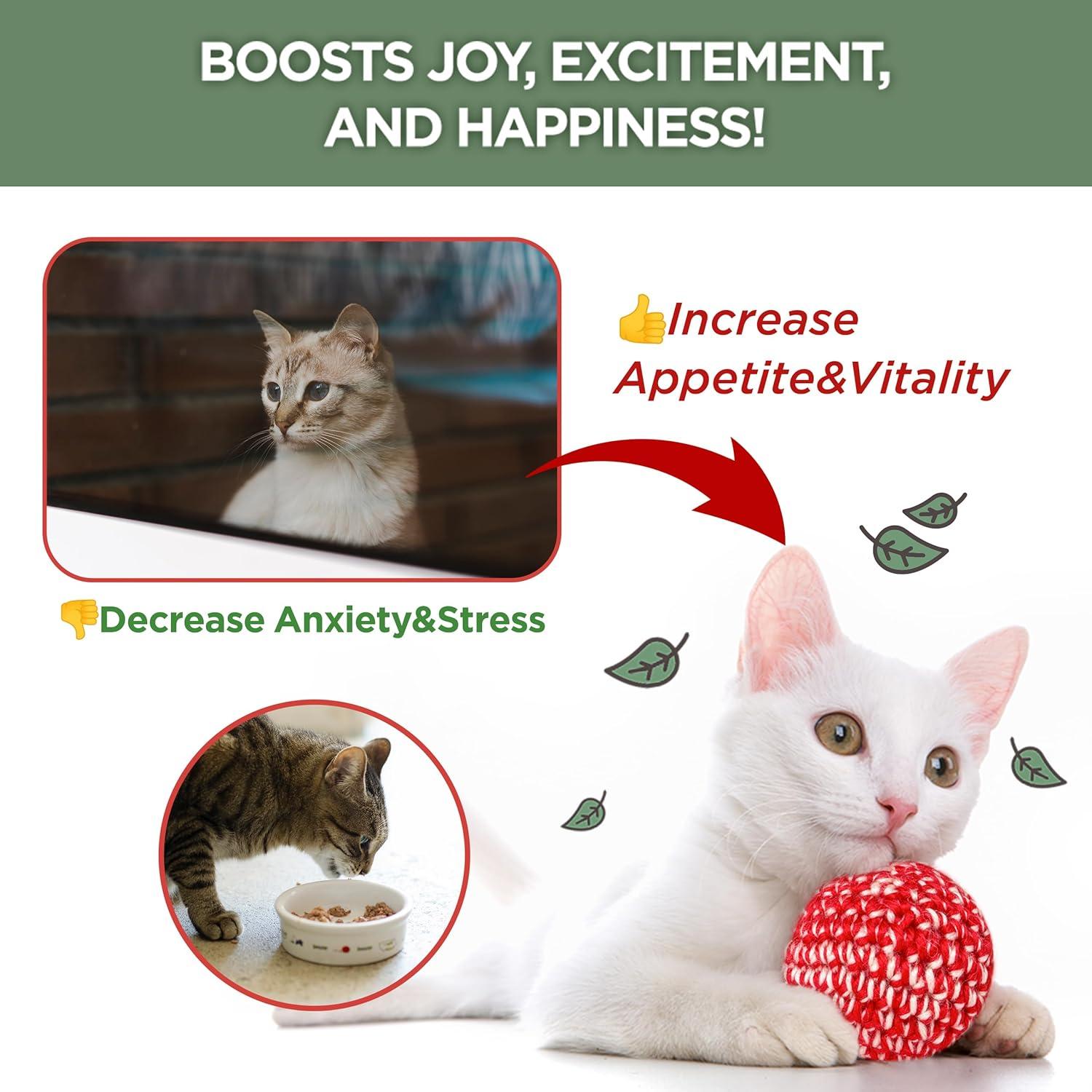 Spray de Catnip Orgánico JAYU PET 29.57 ml - Alivia Estrés Gatos