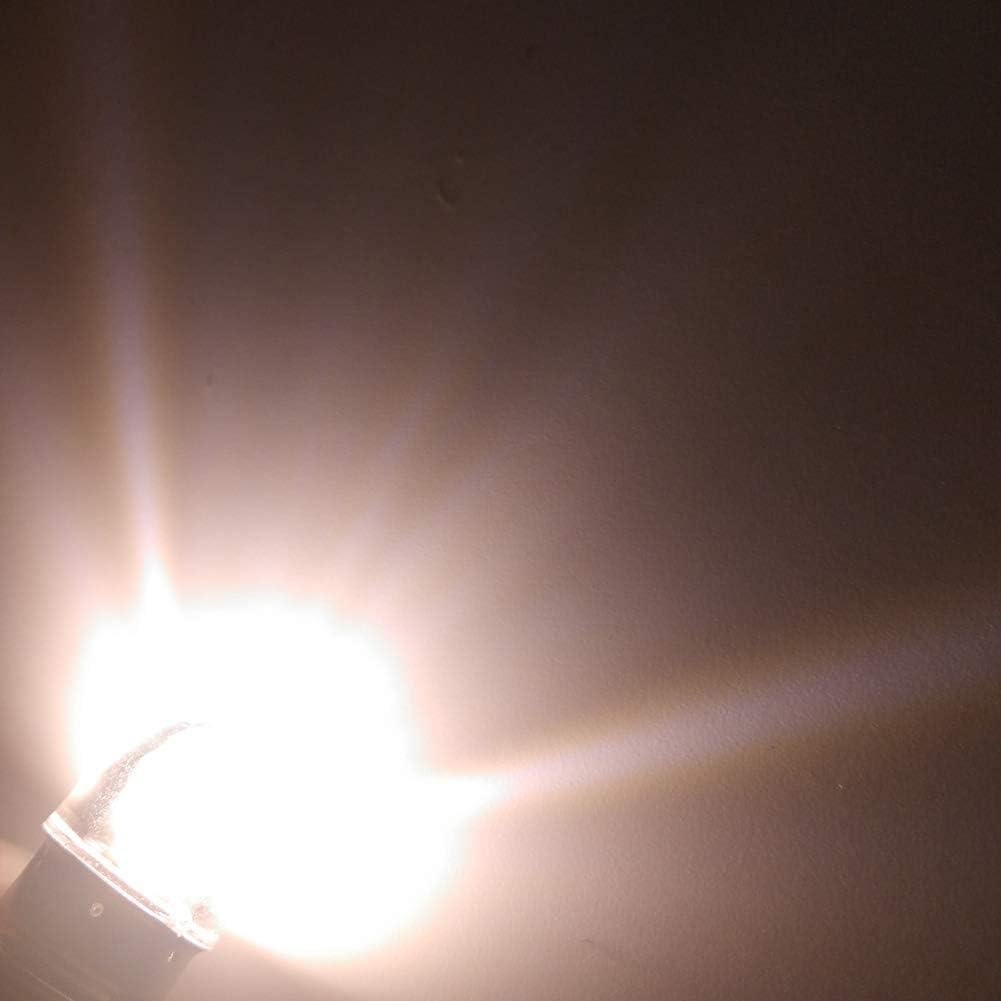 Ruiandsion Upgrade LED Flashlight Bulb 3V P13.5S Base Socket Warm White LED Bulbs Replacement for Flashlight Torch Lights, Negative Earth (Pack of 5)